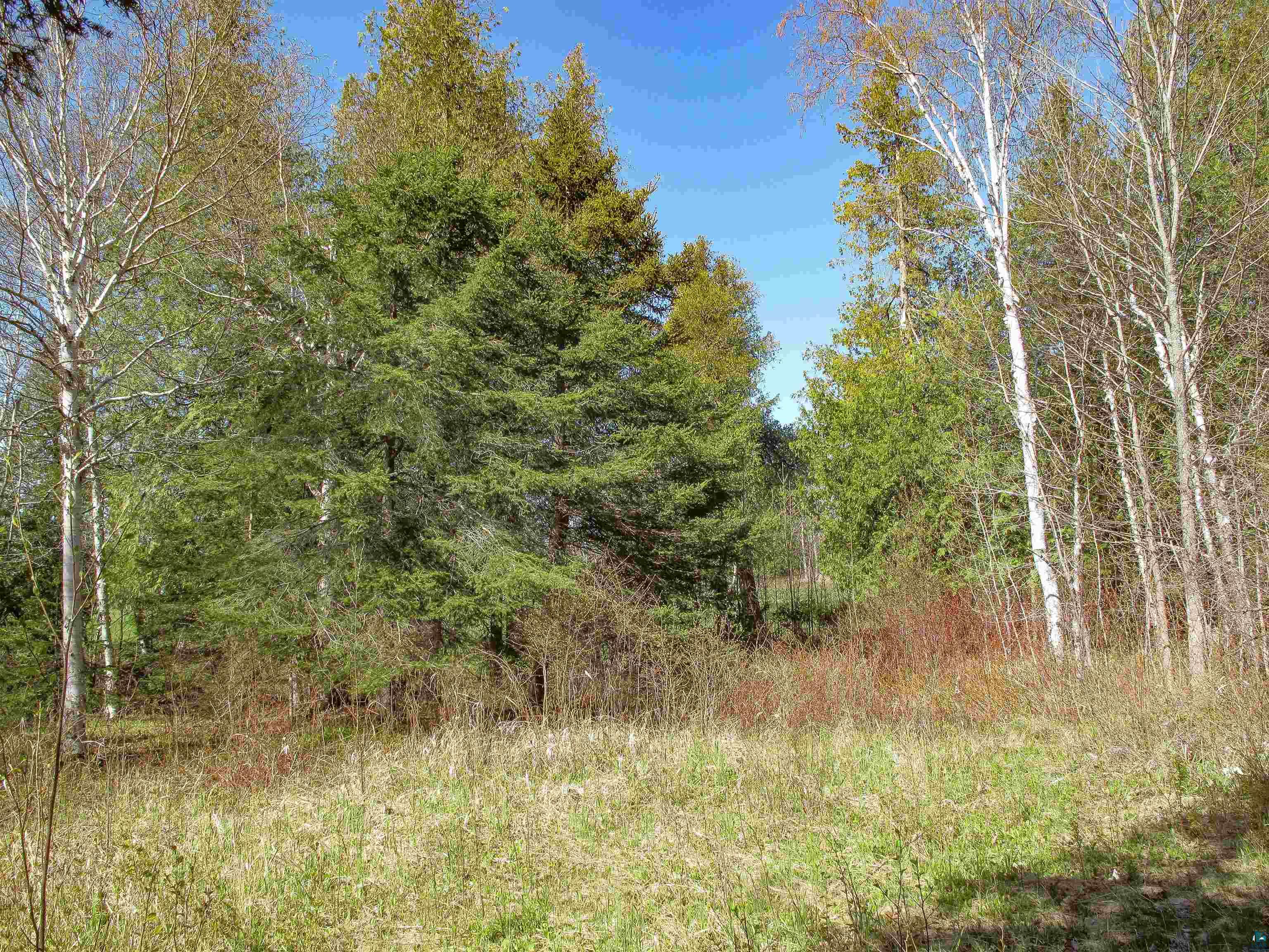 YYY Big Cedar Trl, Lutsen, MN 55612 Listing Photo  57