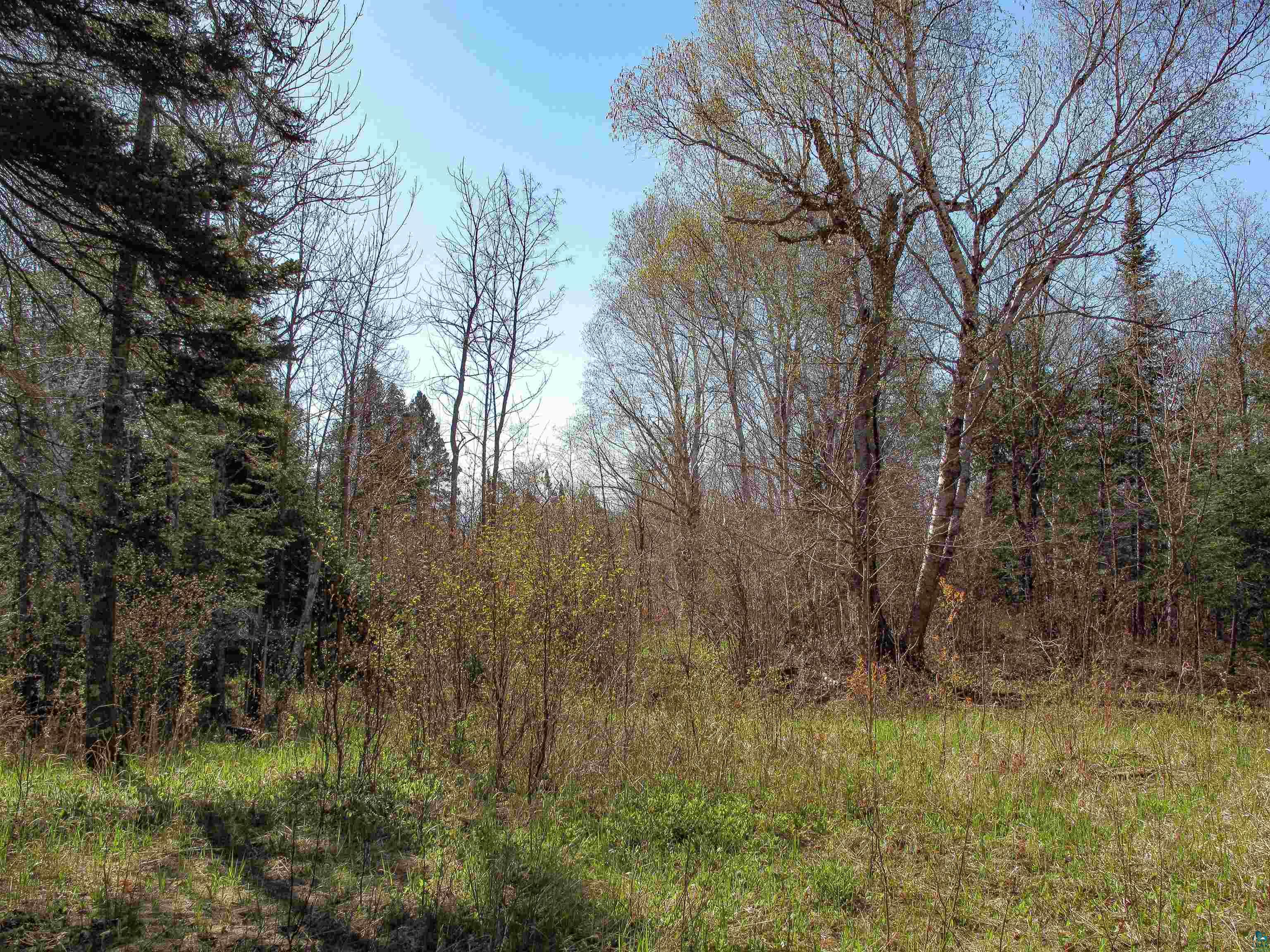 YYY Big Cedar Trl, Lutsen, MN 55612 Listing Photo  9