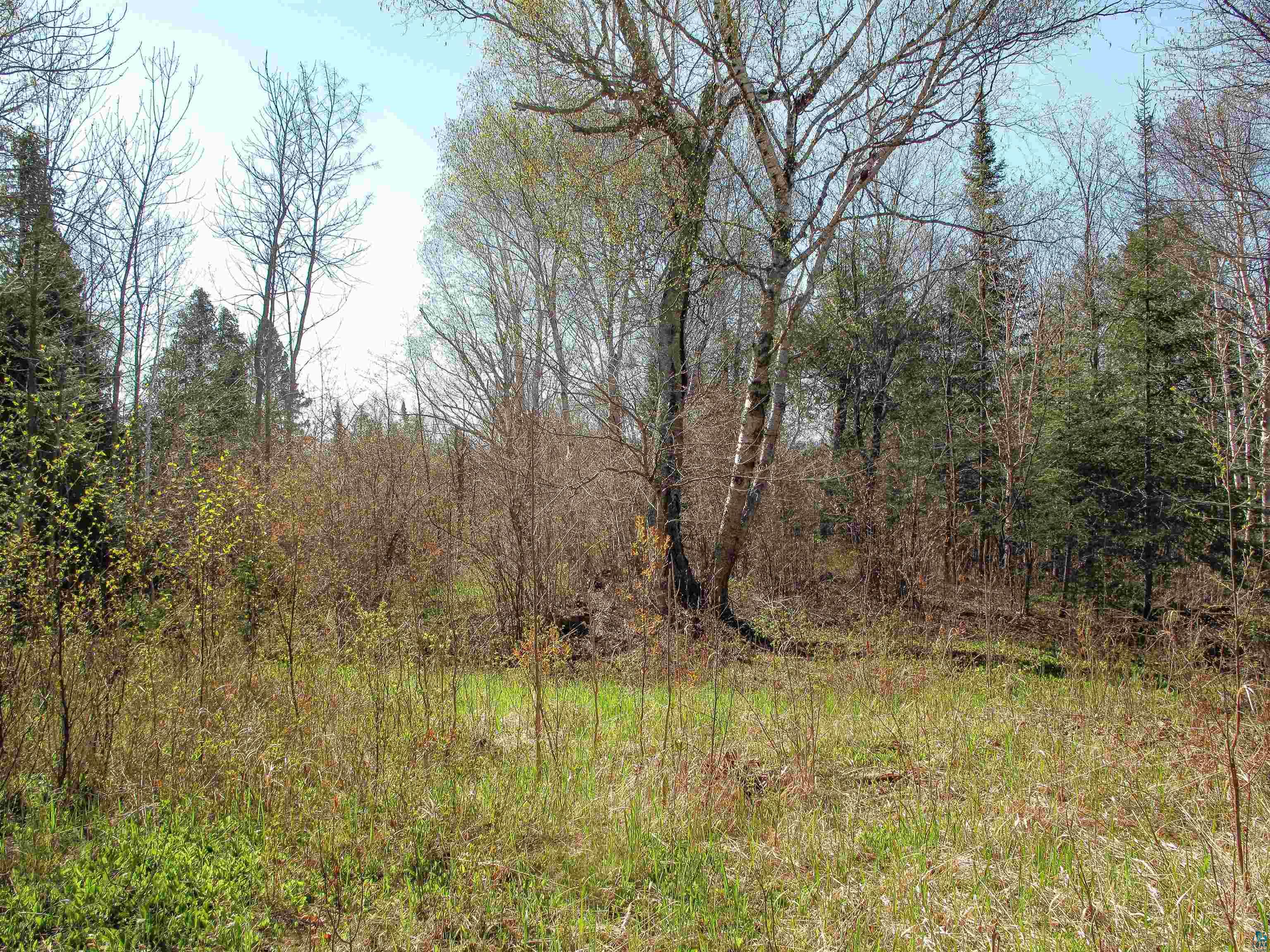 YYY Big Cedar Trl, Lutsen, MN 55612 Listing Photo  10