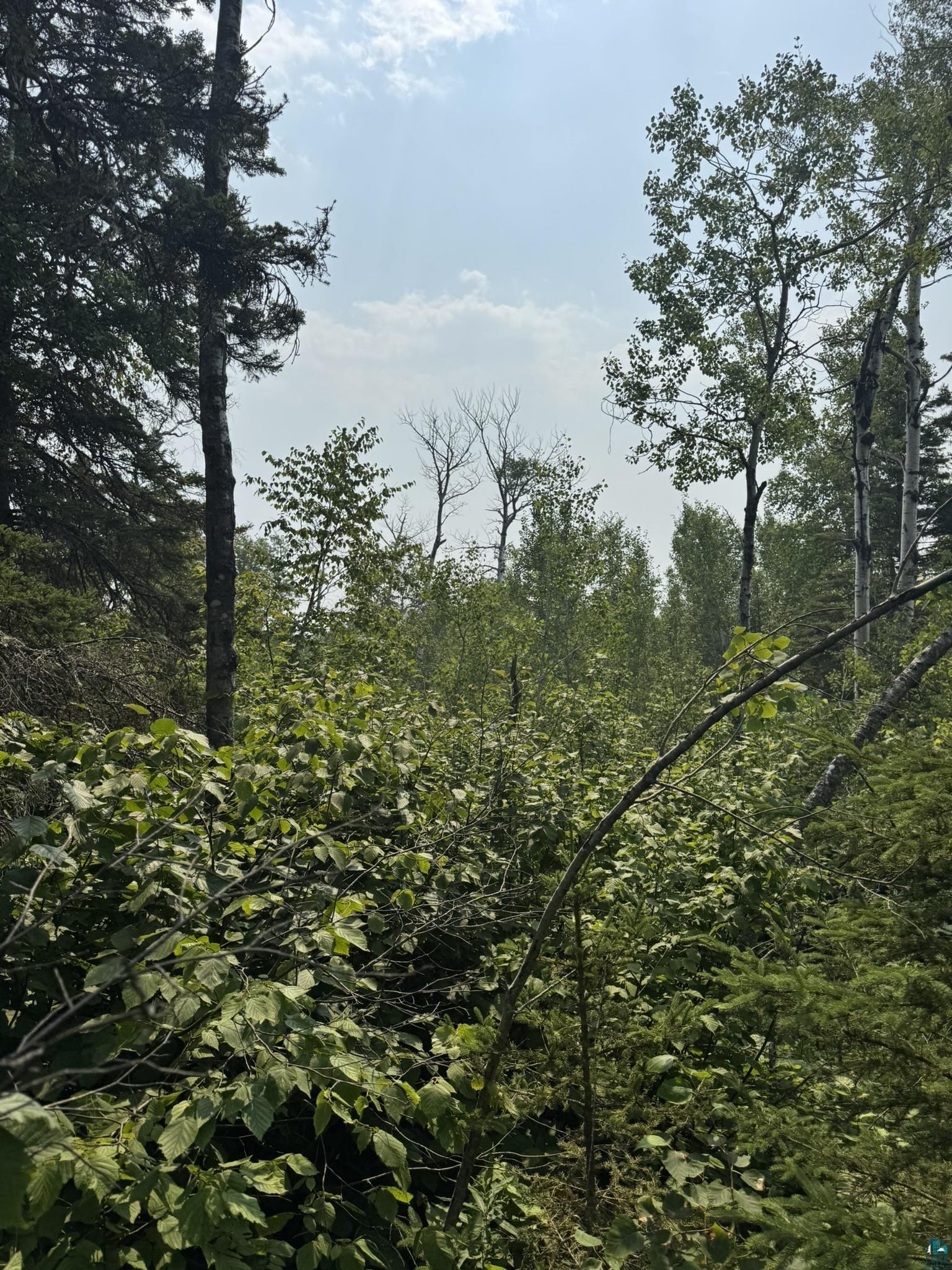 XX High Ridge Dr, Schroeder, MN 55614 Listing Photo  2