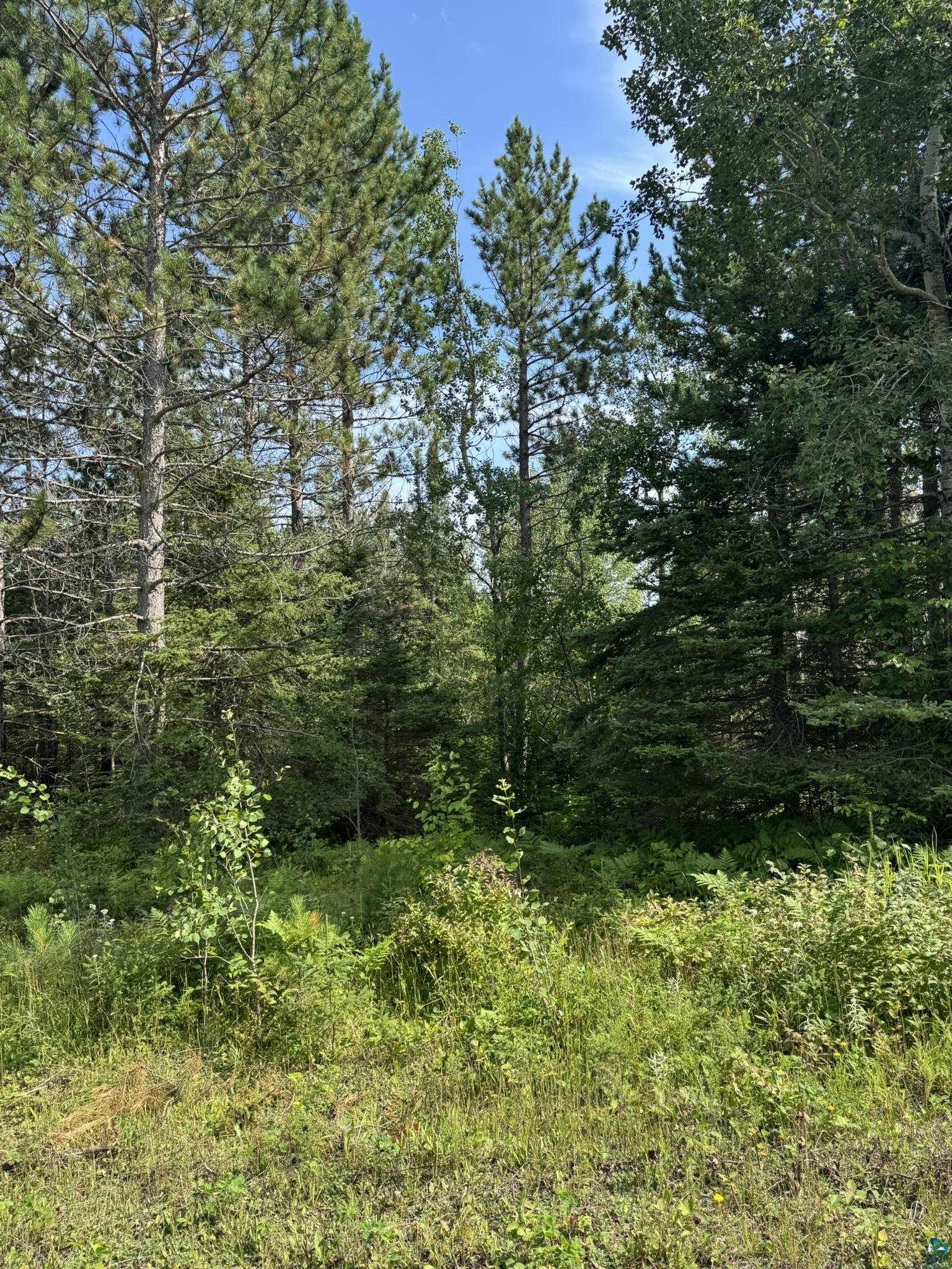 XX High Ridge Dr, Schroeder, MN 55614 Listing Photo  13