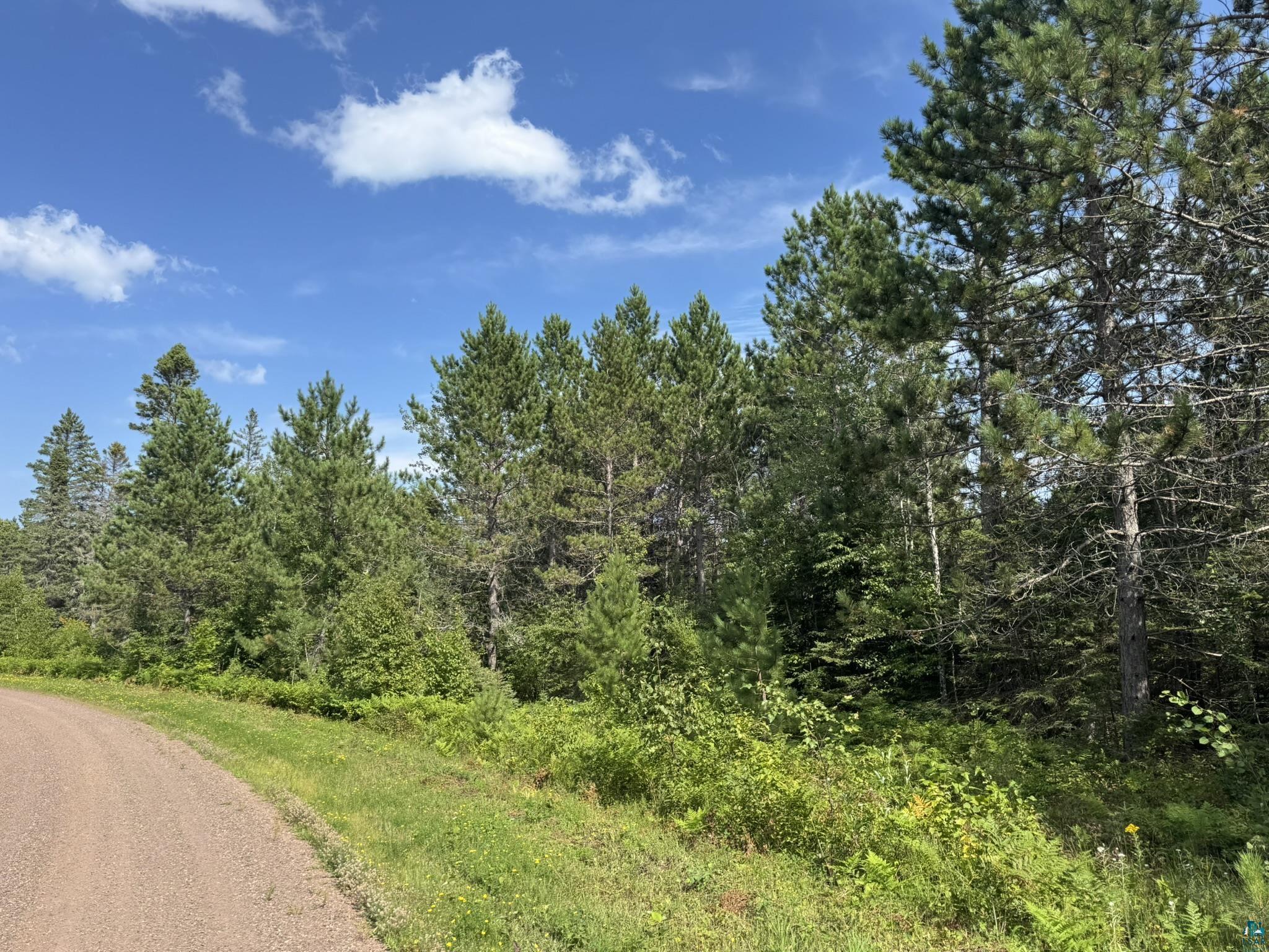 XX High Ridge Dr, Schroeder, MN 55614 Listing Photo  14