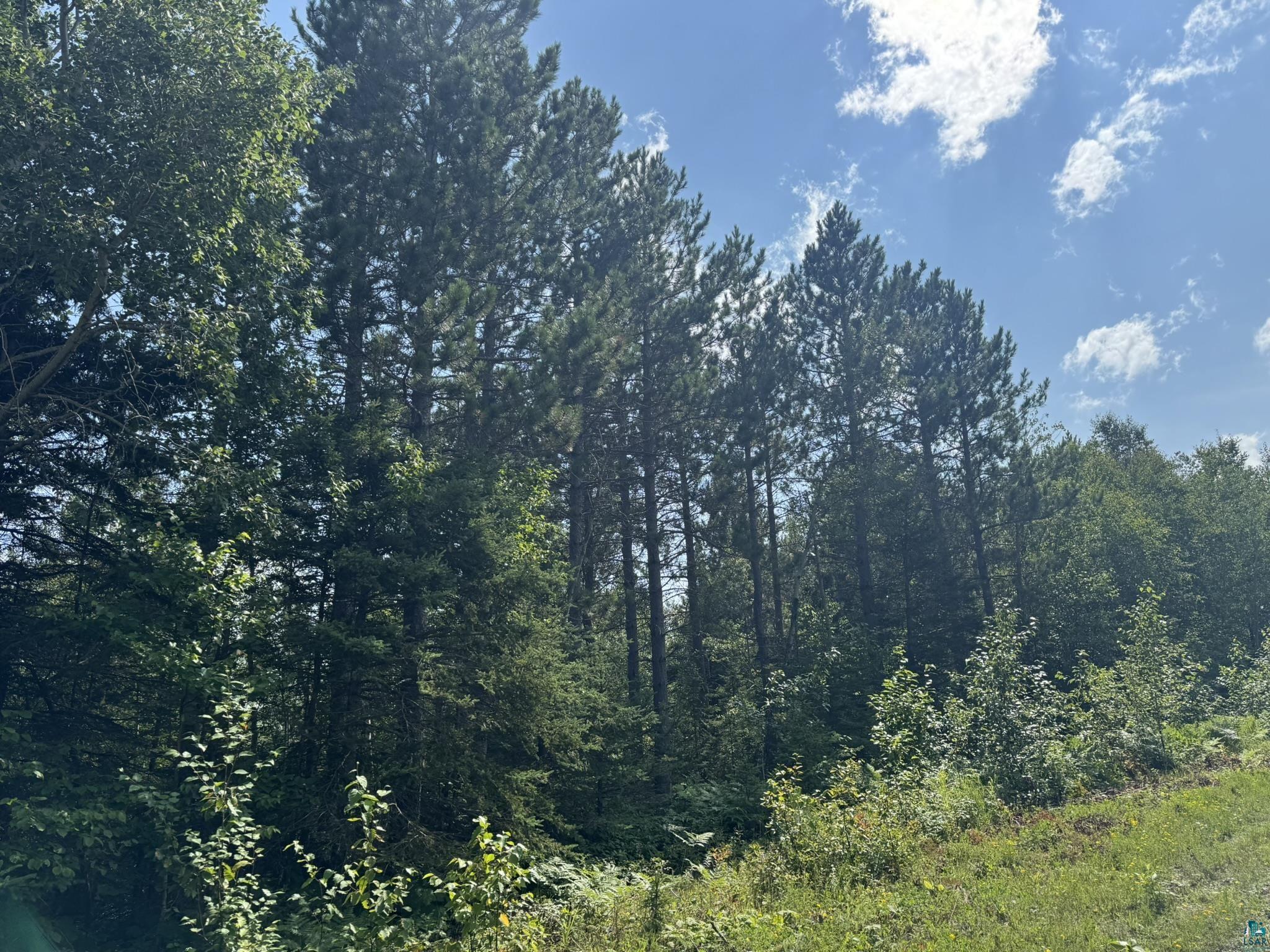 XX High Ridge Dr, Schroeder, MN 55614 Listing Photo  15