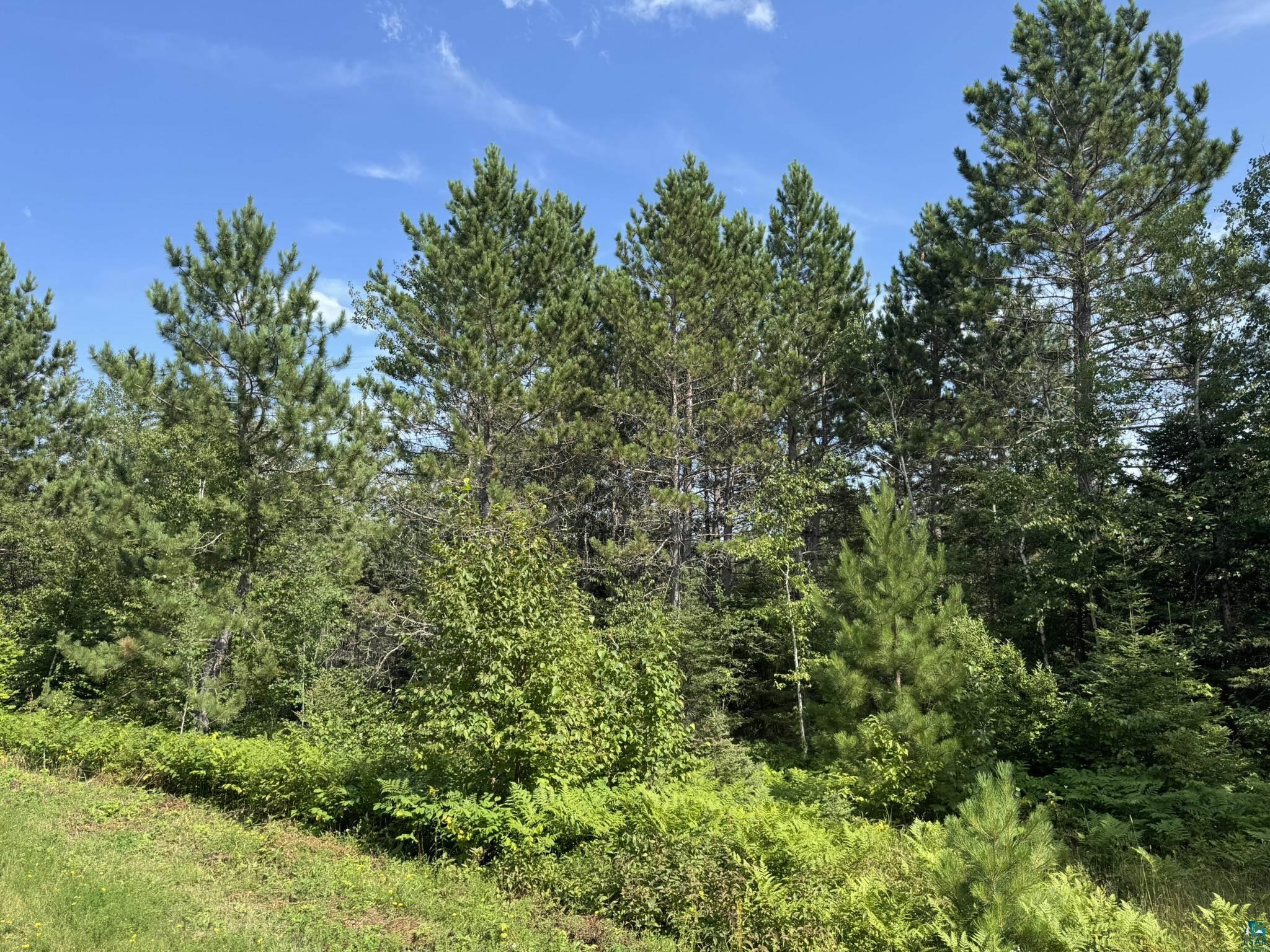XX High Ridge Dr, Schroeder, MN 55614 Listing Photo  17