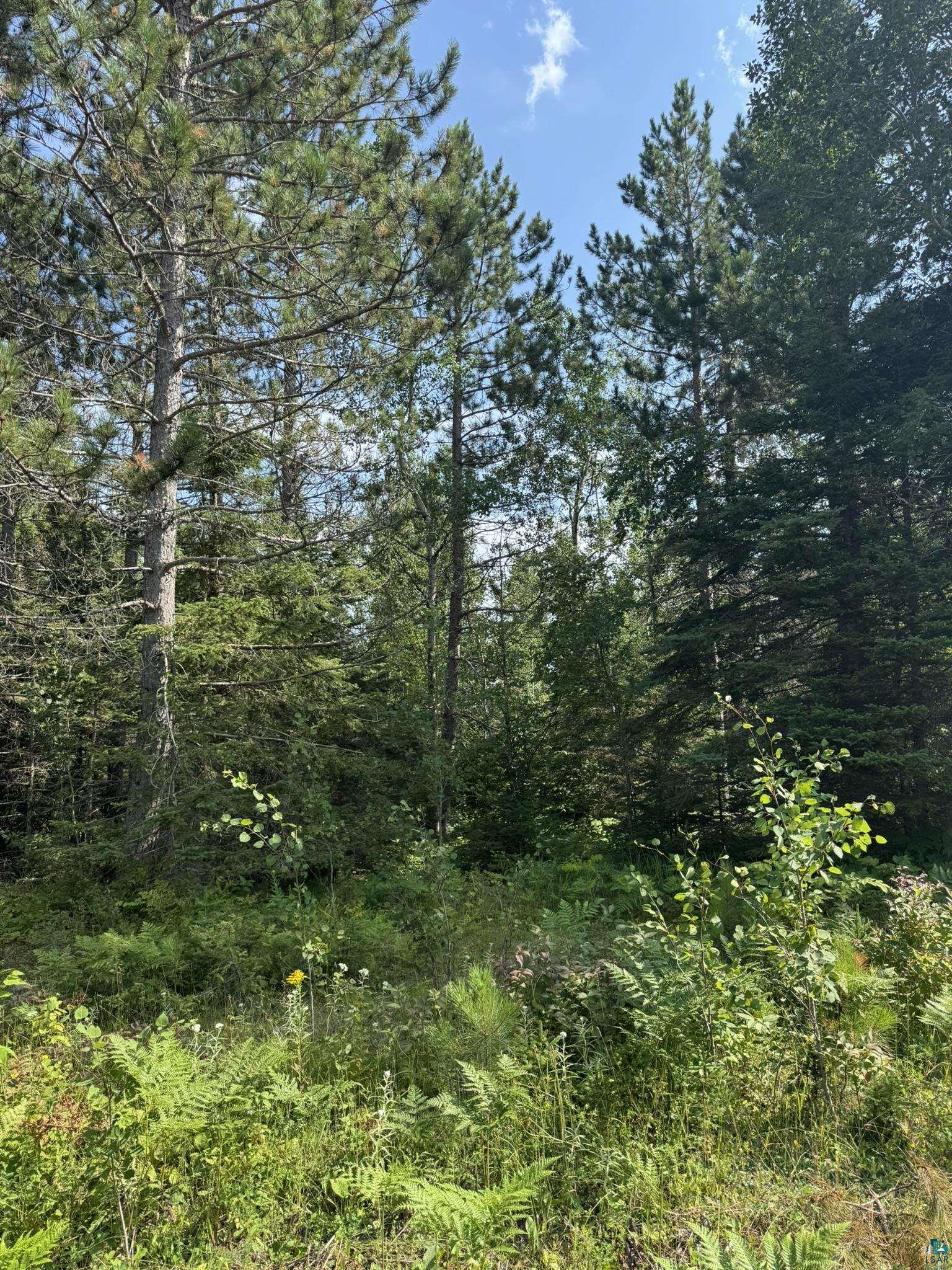 XX High Ridge Dr, Schroeder, MN 55614 Listing Photo  19