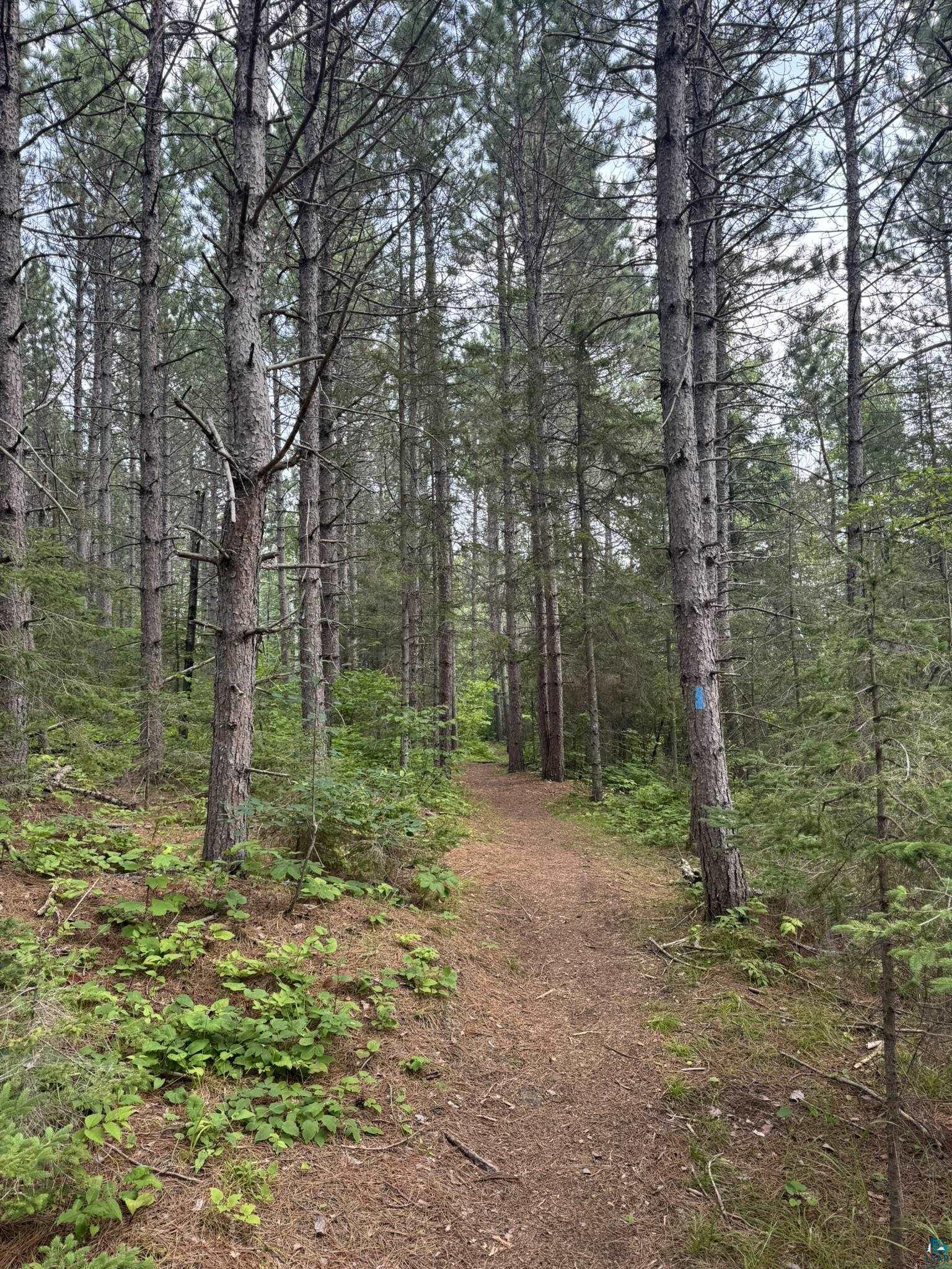 XX High Ridge Dr, Schroeder, MN 55614 Listing Photo  3