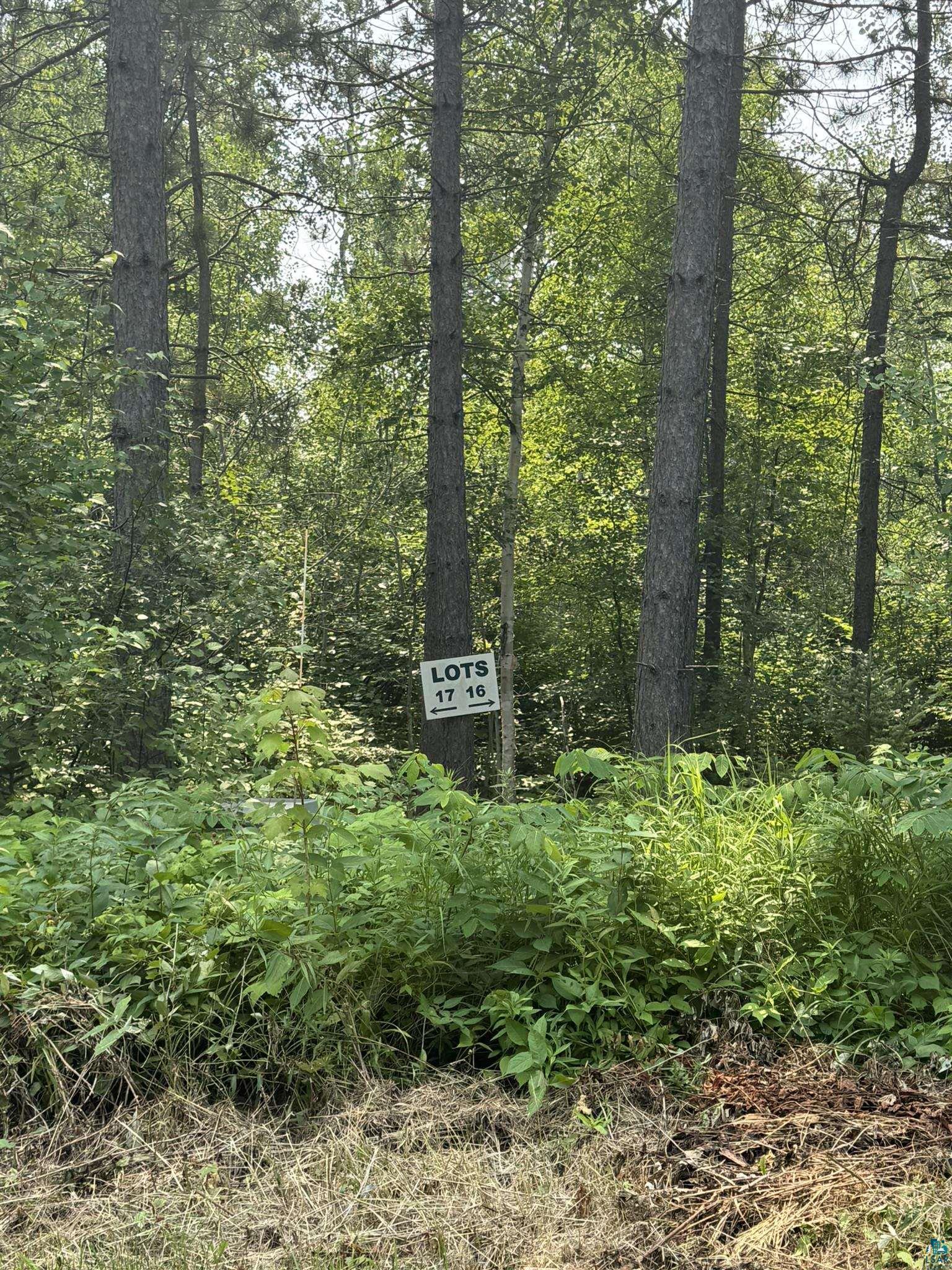XX High Ridge Dr, Schroeder, MN 55614 Listing Photo  22