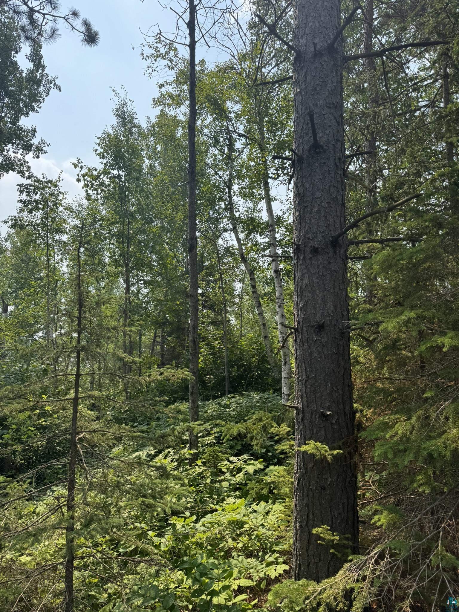 XX High Ridge Dr, Schroeder, MN 55614 Listing Photo  25