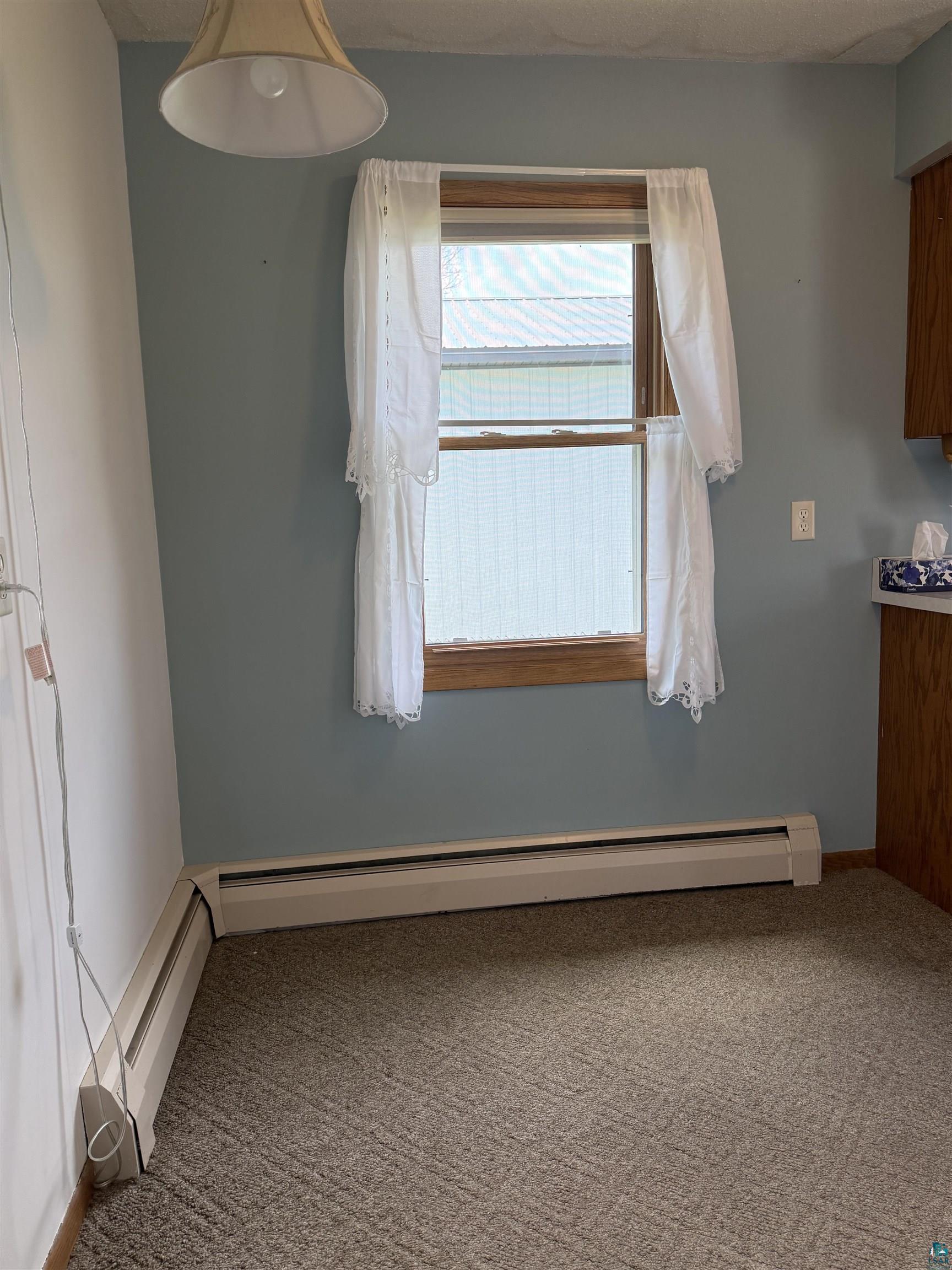 811 Hickory St, Floodwood, MN 55736 Listing Photo  8