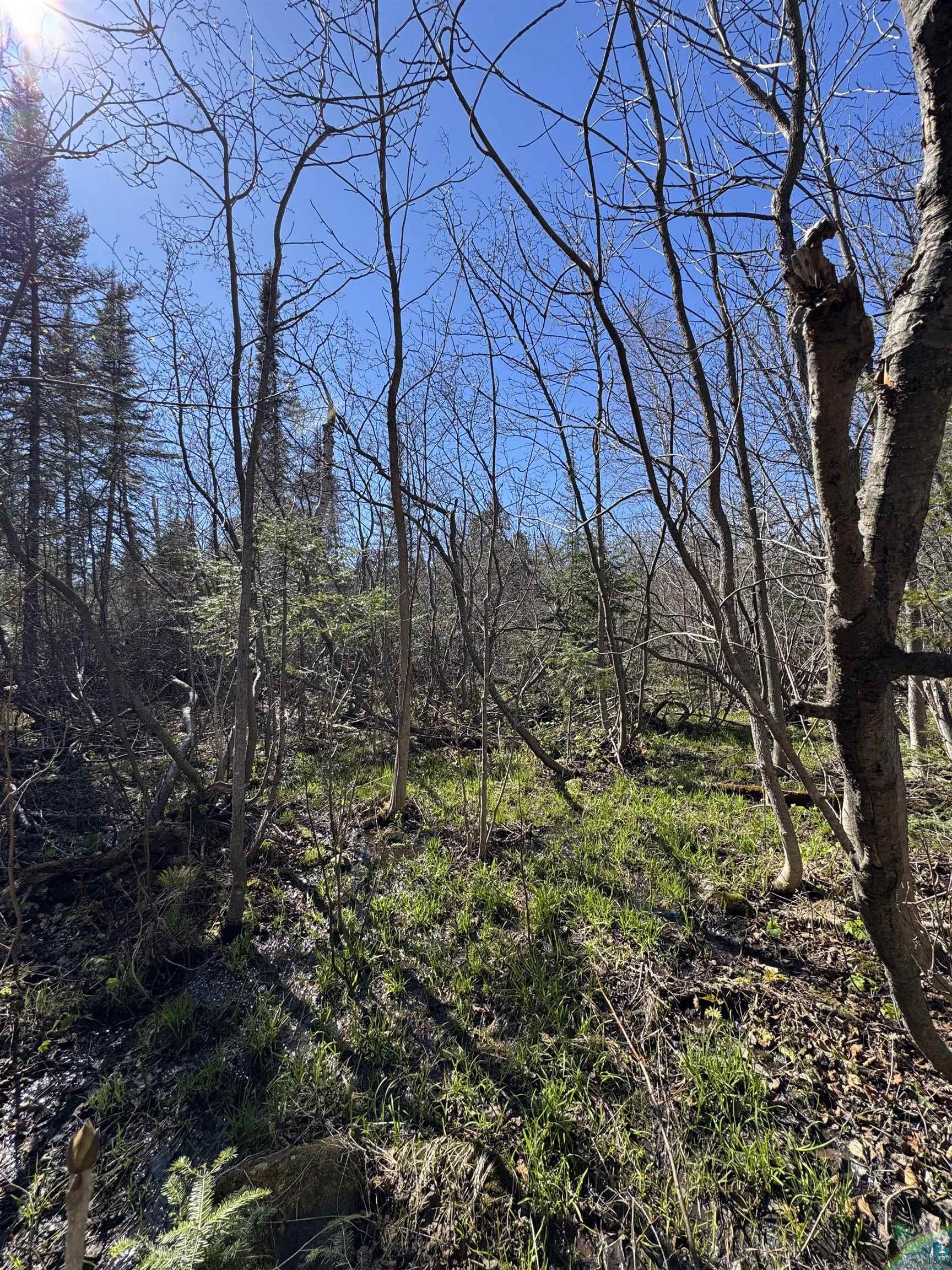5XX Lindskog Rd, Grand Marais, MN 55604 Listing Photo  8