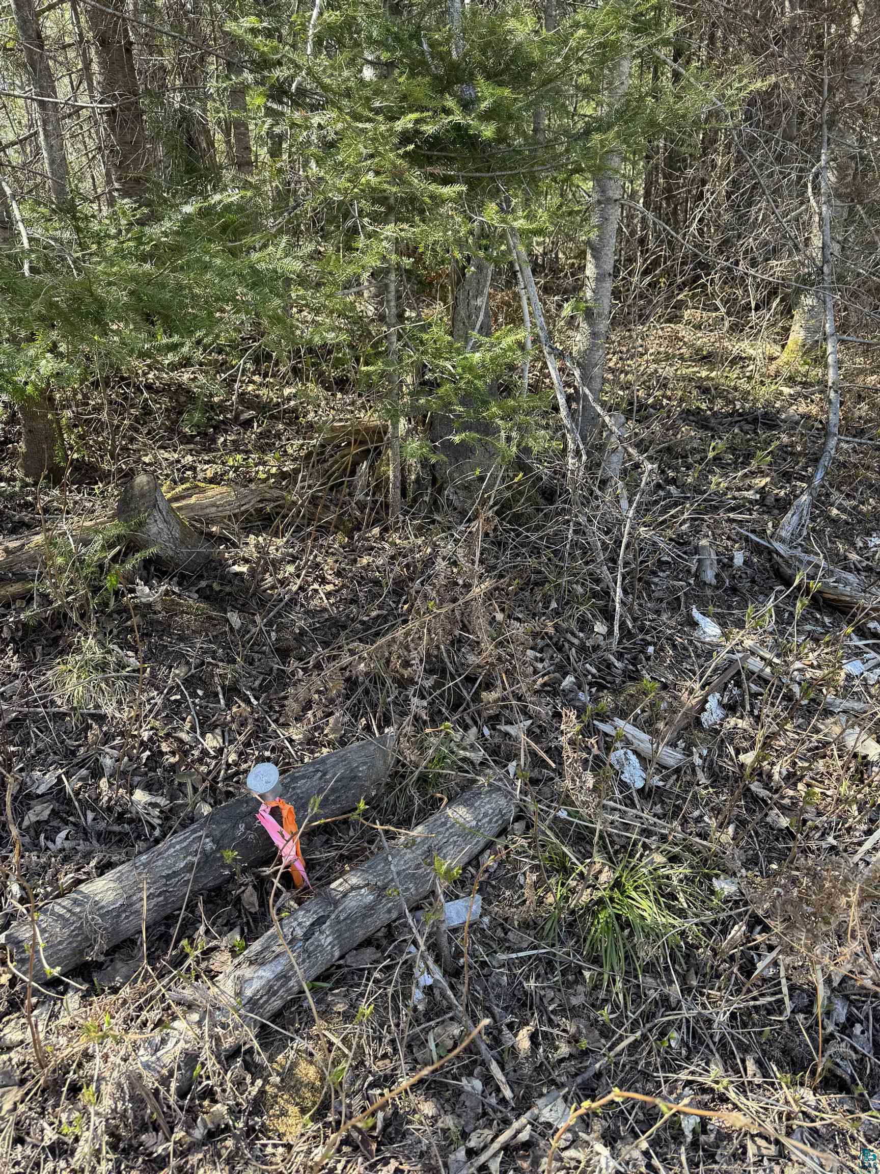 5XX Lindskog Rd, Grand Marais, MN 55604 Listing Photo  9