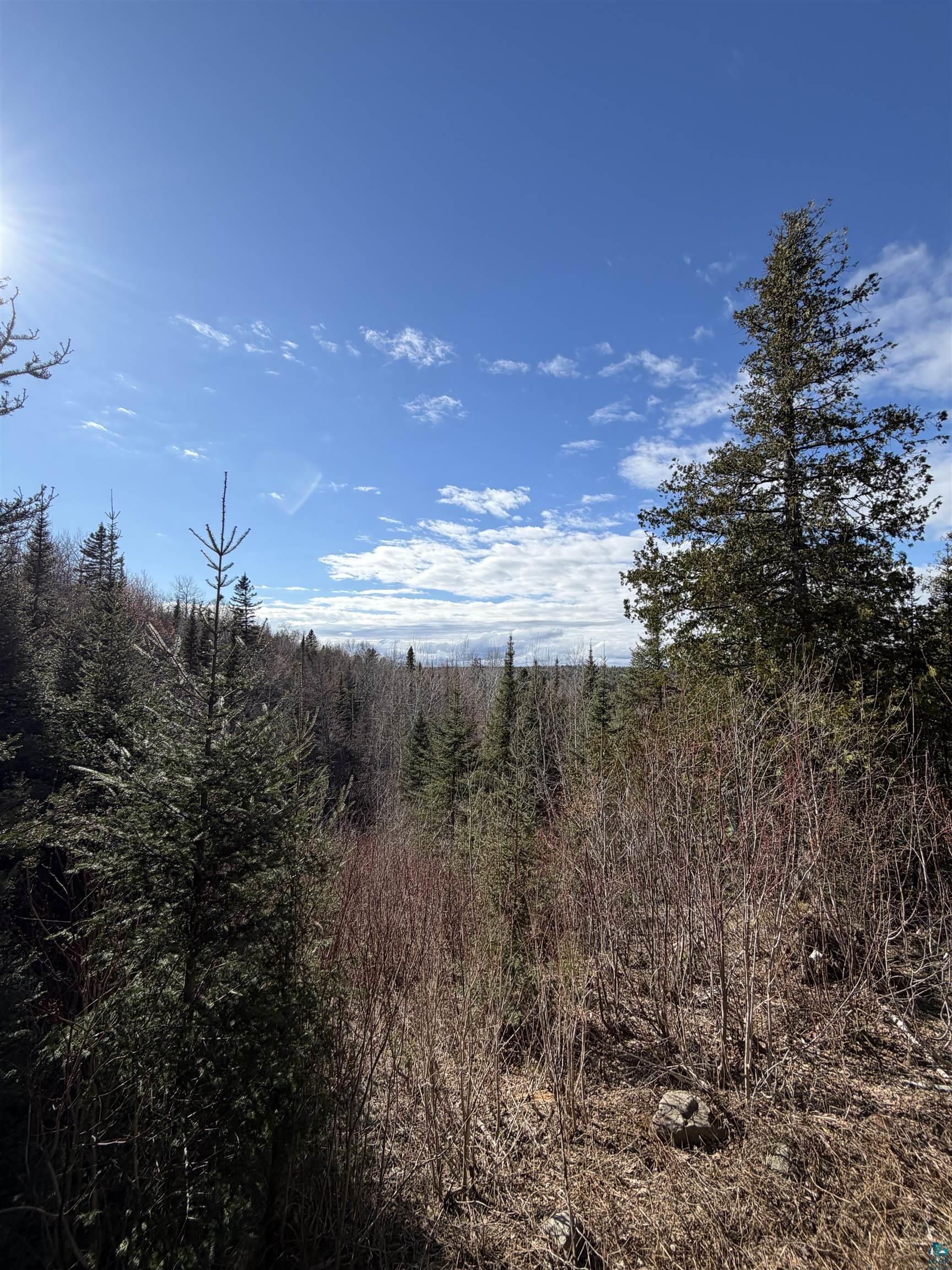 1537 Camp 20 Rd, Hovland, MN 55606 Listing Photo  17