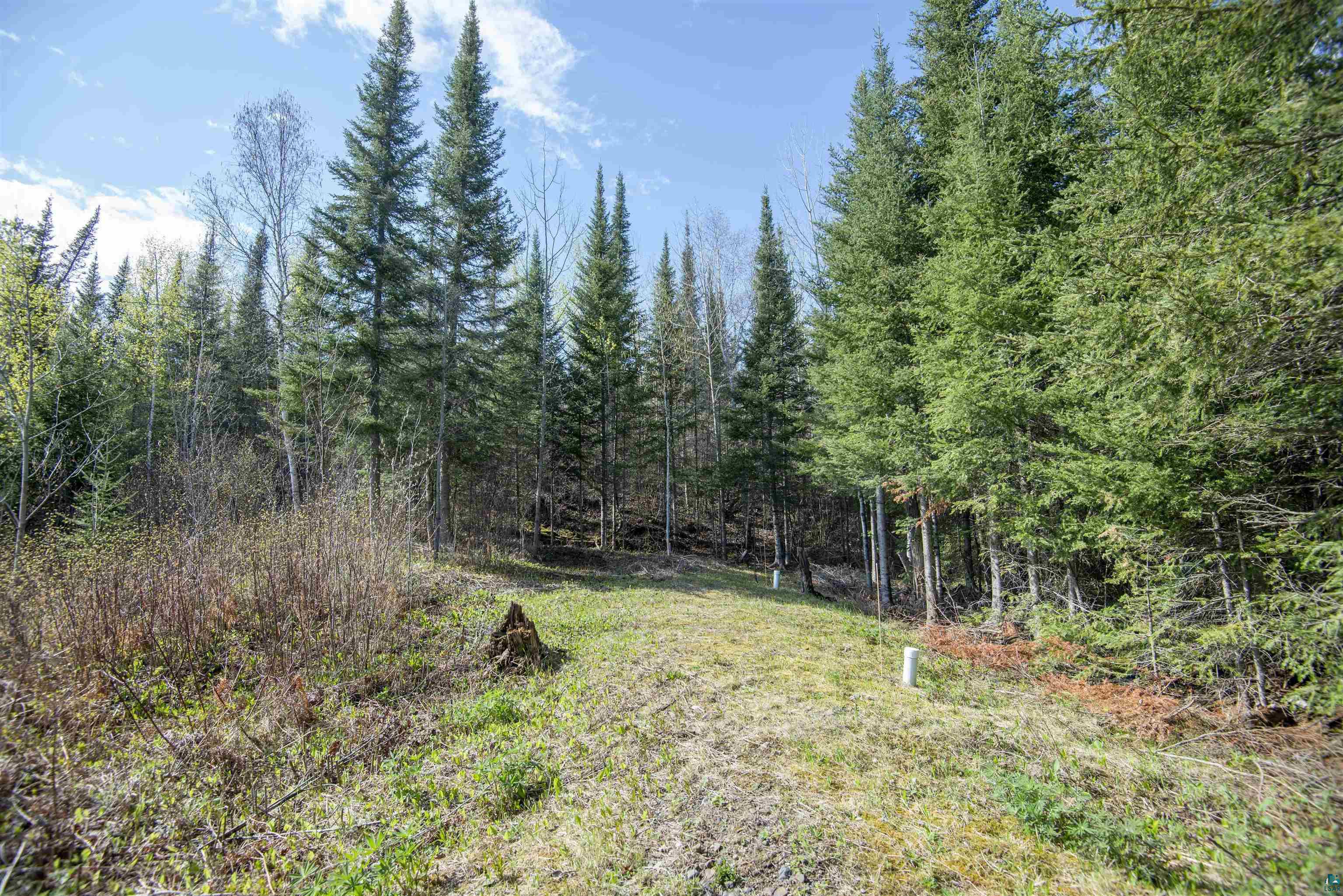 12586 Gunflint Tr, Grand Marais, MN 55604 Listing Photo  55