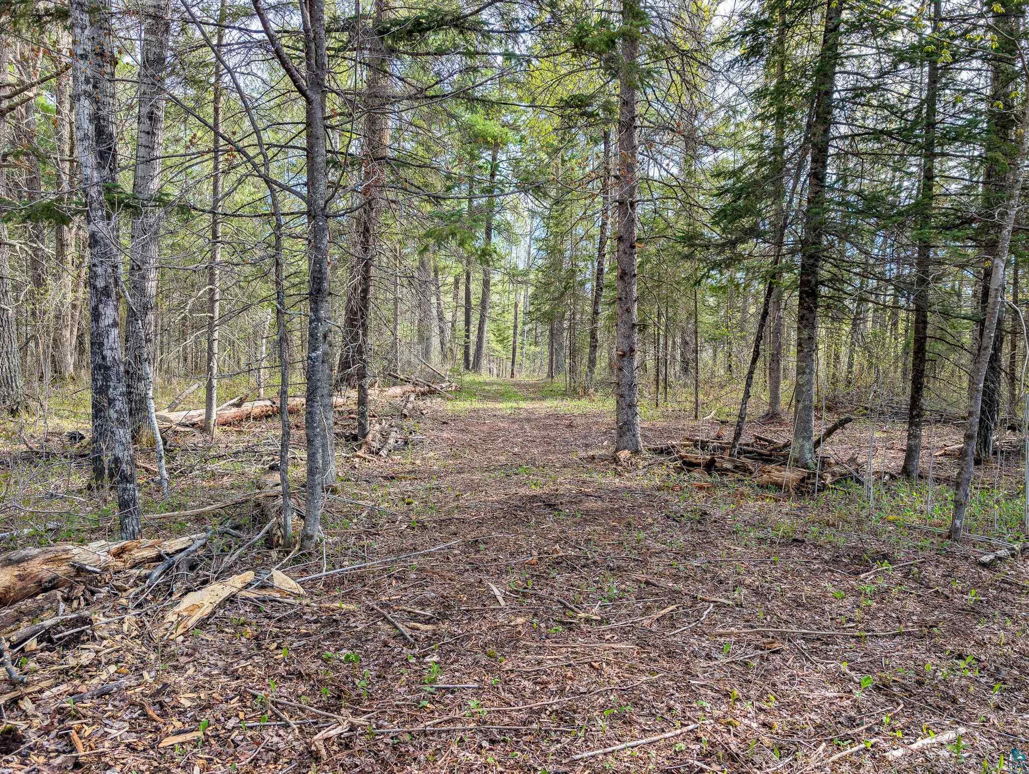 992 Nemadji River Rd, Holyoke, MN 55749 Listing Photo  6