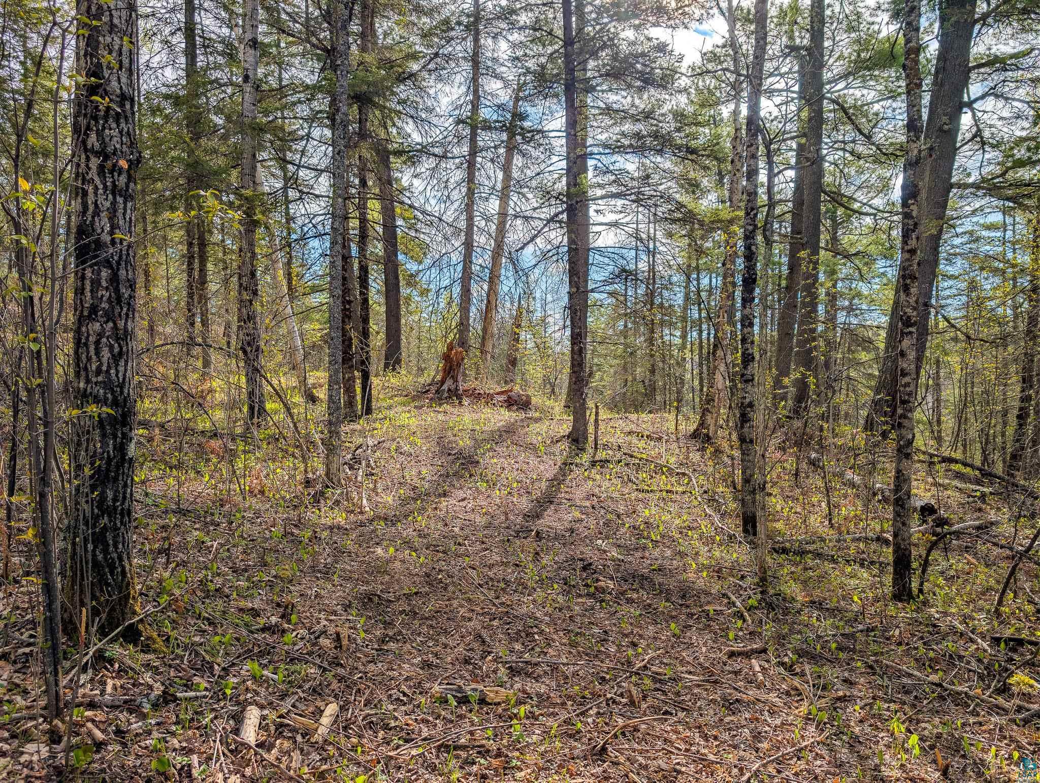 992 Nemadji River Rd, Holyoke, MN 55749 Listing Photo  7