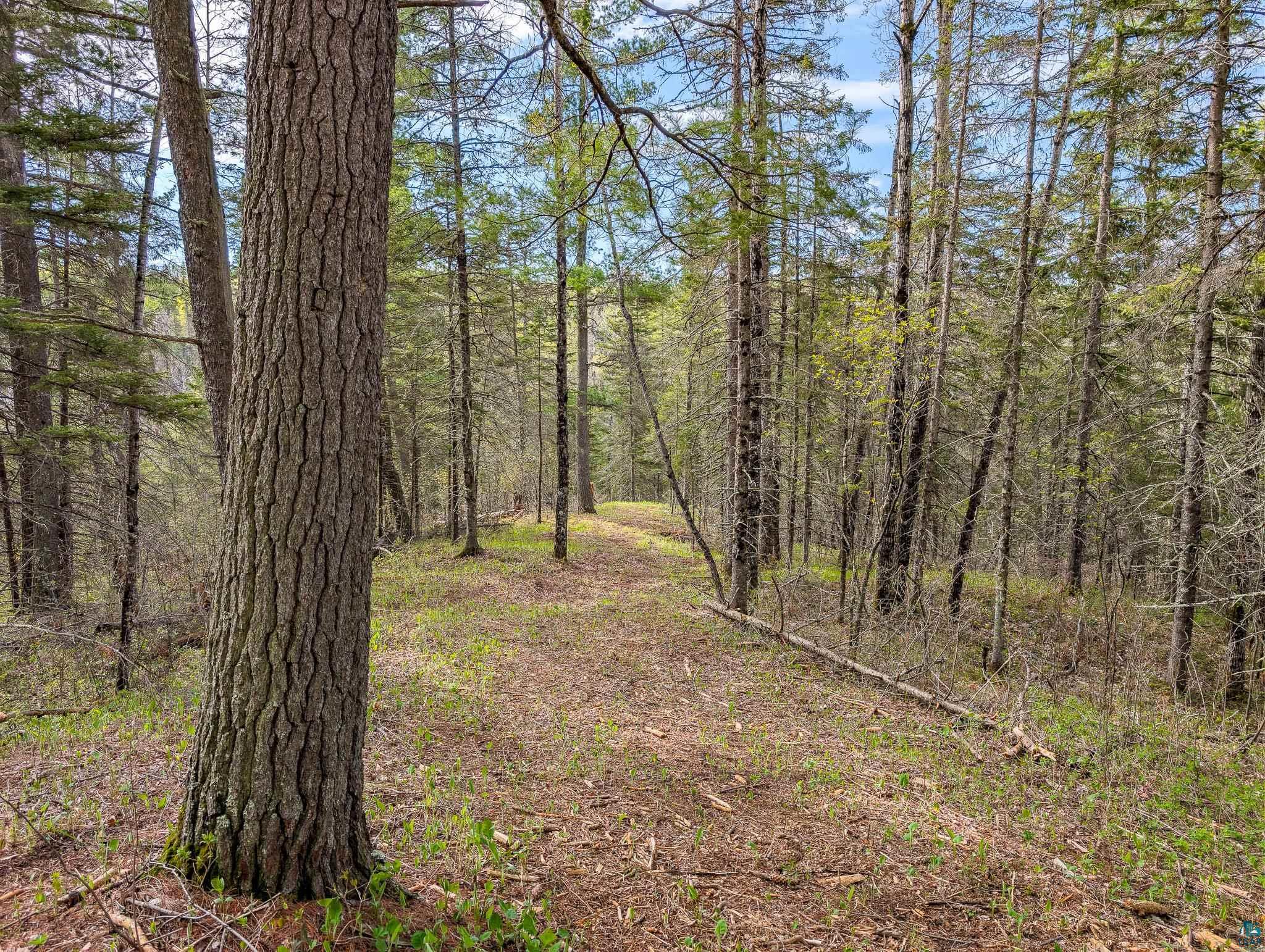 992 Nemadji River Rd, Holyoke, MN 55749 Listing Photo  8