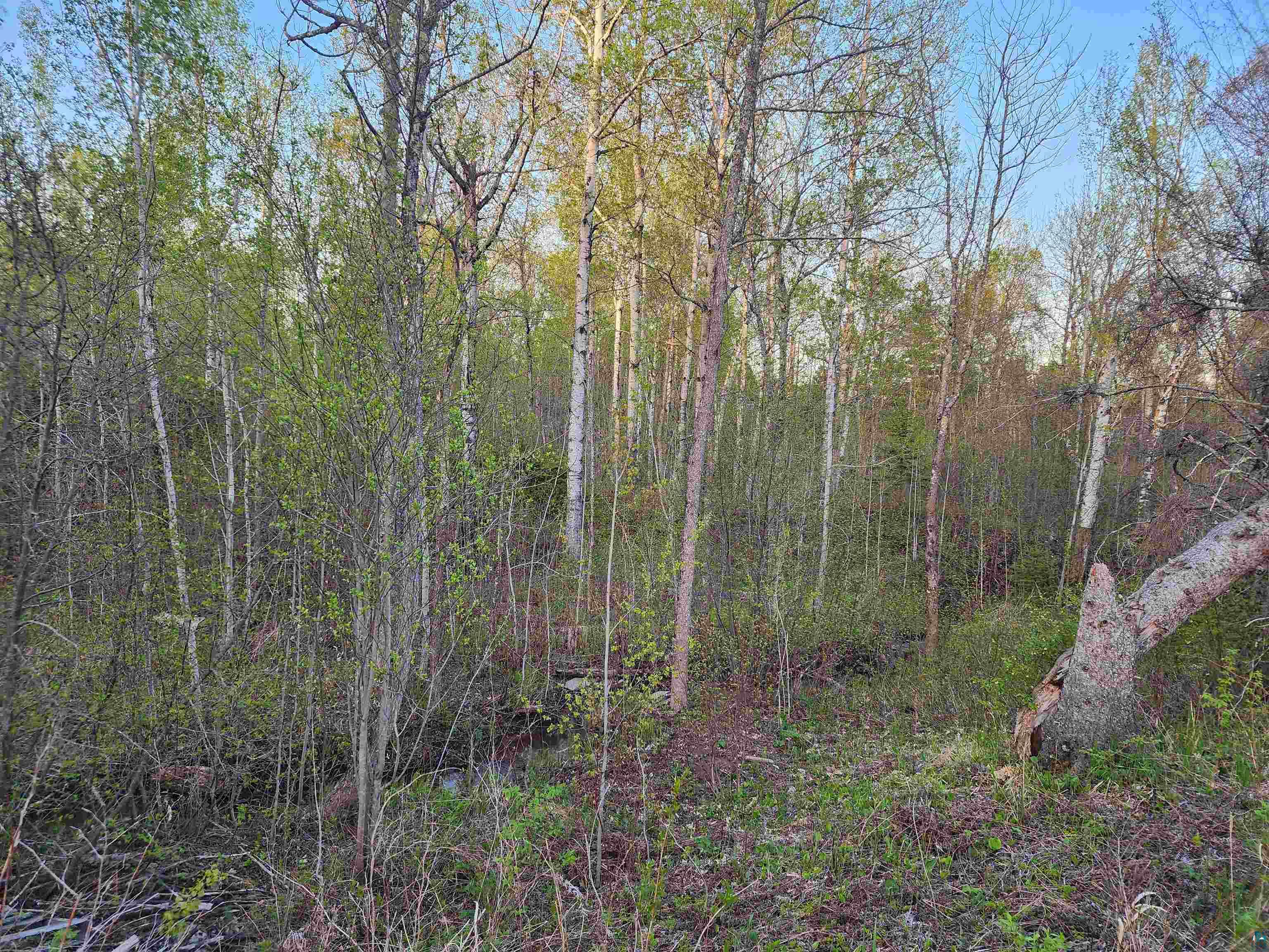 18 Snowshoe Tr, Tofte, MN 55615 Listing Photo  15