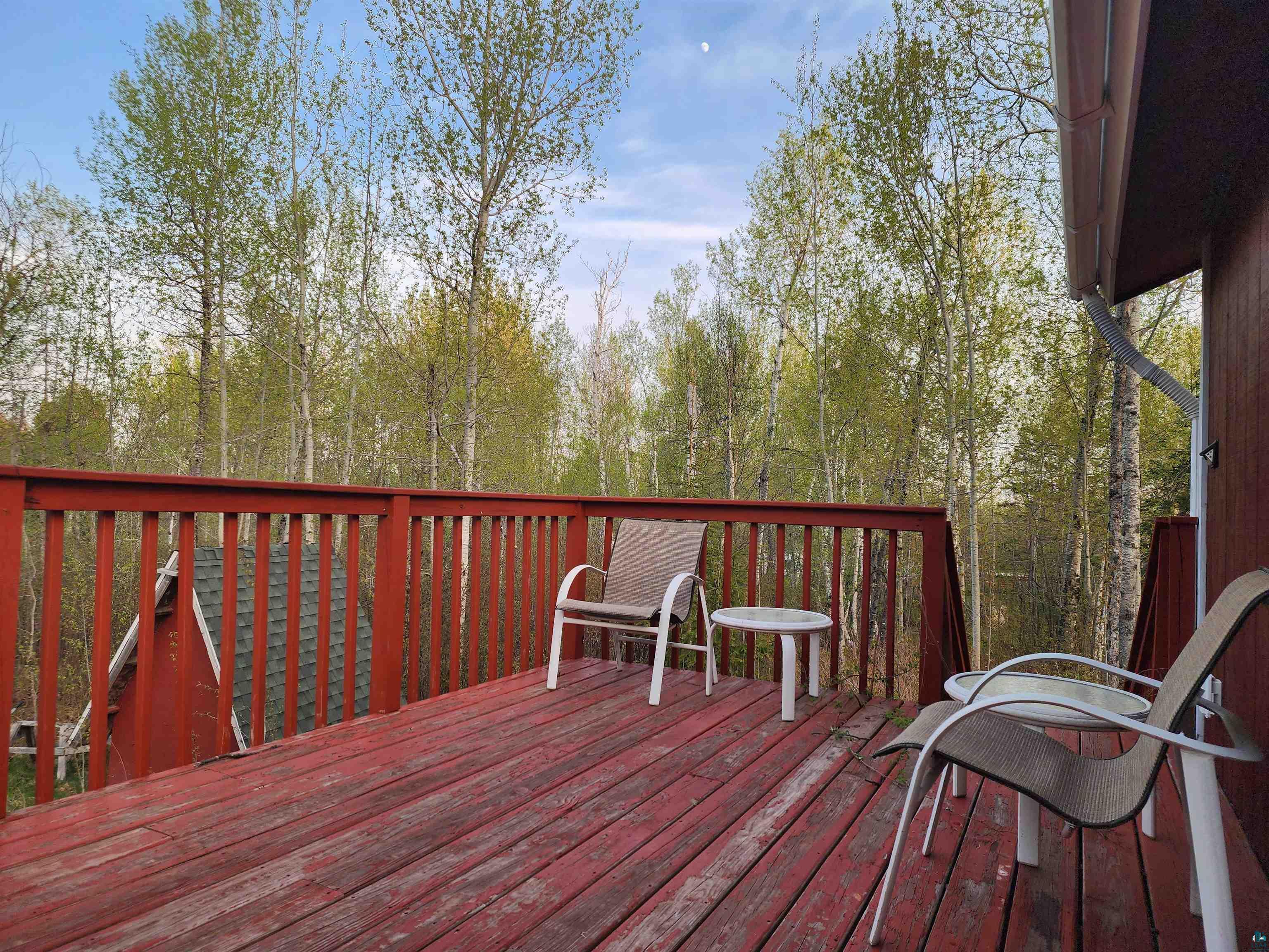 18 Snowshoe Tr, Tofte, MN 55615 Listing Photo  4