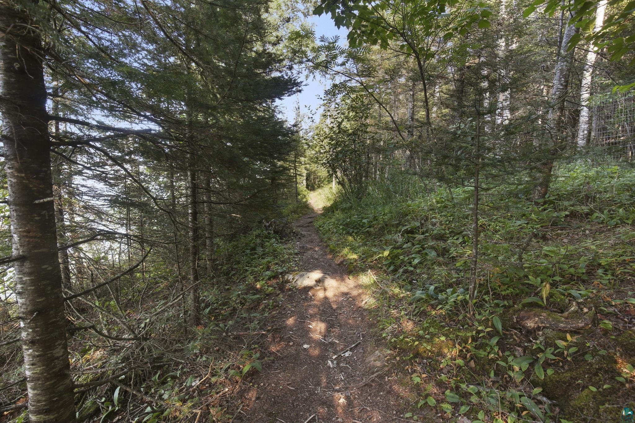 1614 Superior Shores, ##99, Two Harbors, MN 55616 Listing Photo  14