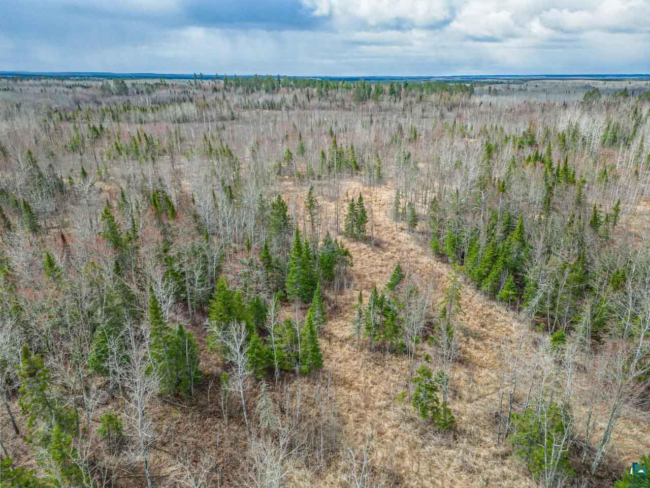 11448 Hwy 22, Angora, MN 55703-0000 Listing Photo  30