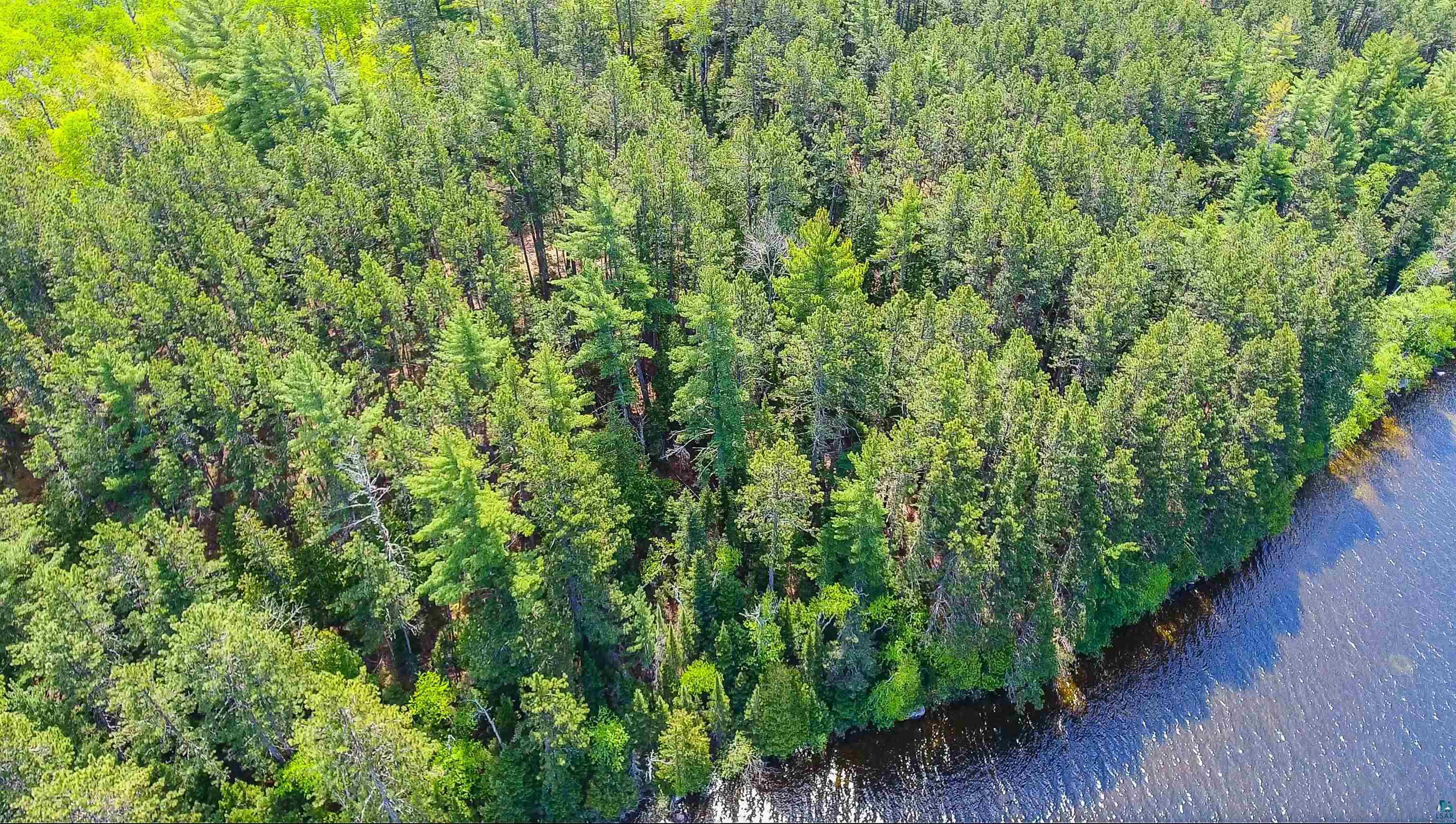 3506 Hanson Lake Rd, Ely, MN 55731 Listing Photo  1