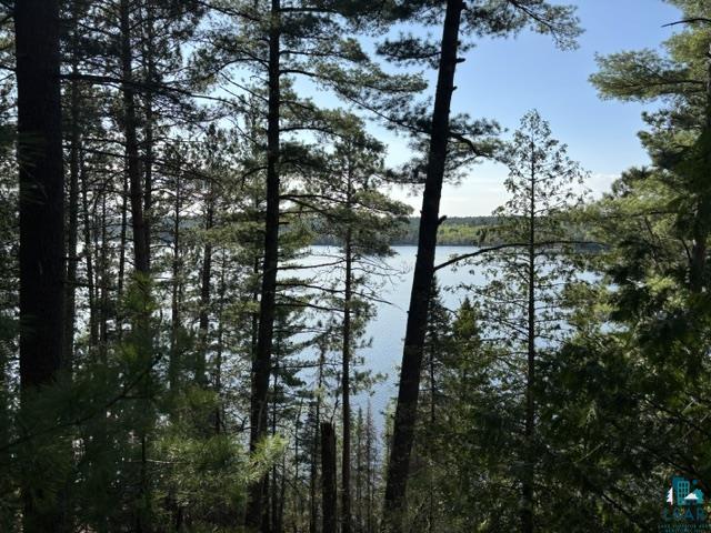 3506 Hanson Lake Rd, Ely, MN 55731 Listing Photo  15