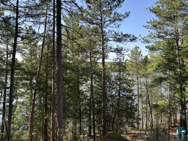 3506 Hanson Lake Rd, Ely, MN 55731 Listing Photo  20