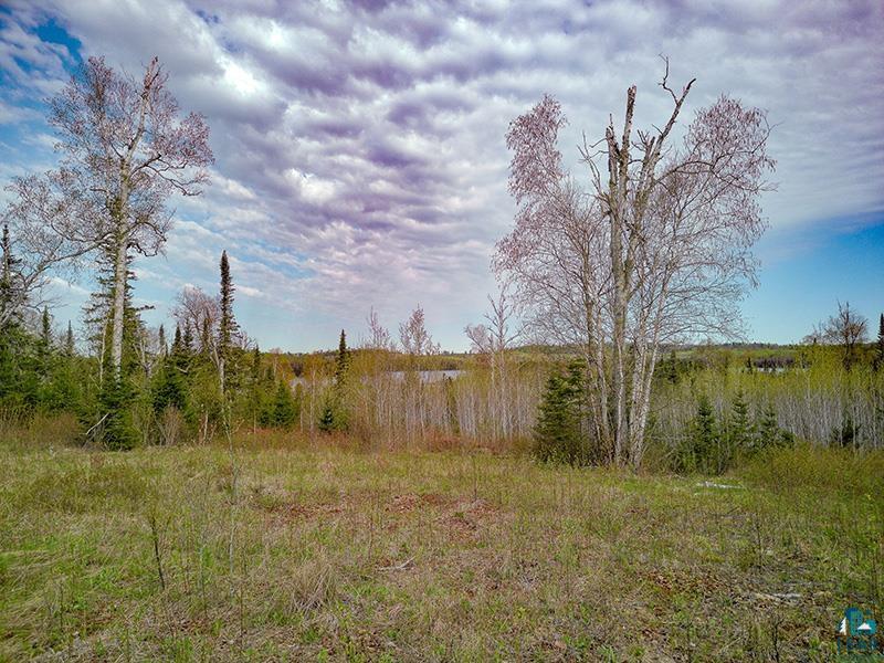 21 Pine Tree Dr, Lutsen, MN 55612 Listing Photo  1