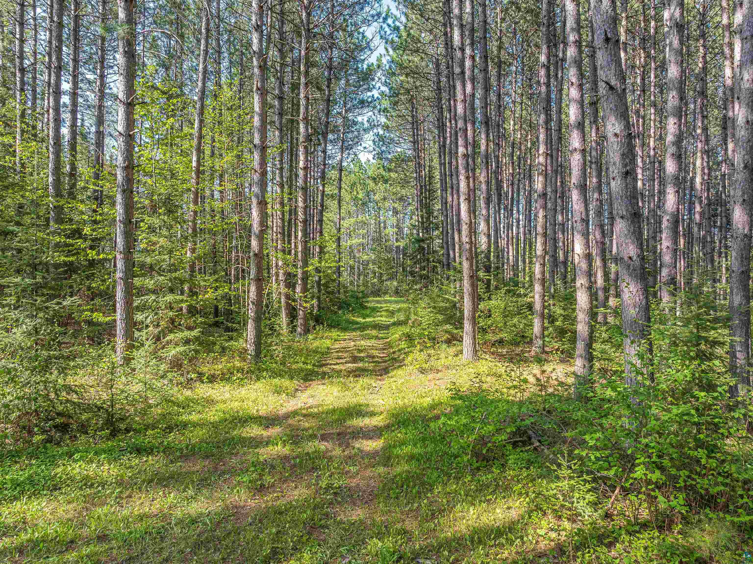 2685 Elliots Lake Rd, Eveleth, MN 55734-0000 Listing Photo  17