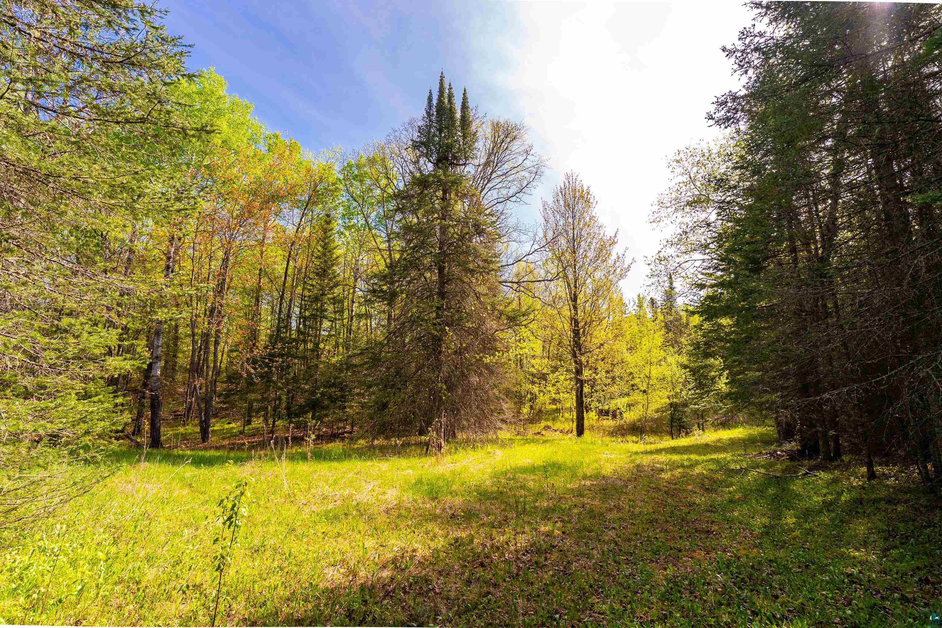 5610 Bergstrom Jct Rd, Saginaw, MN 55779 Listing Photo  7