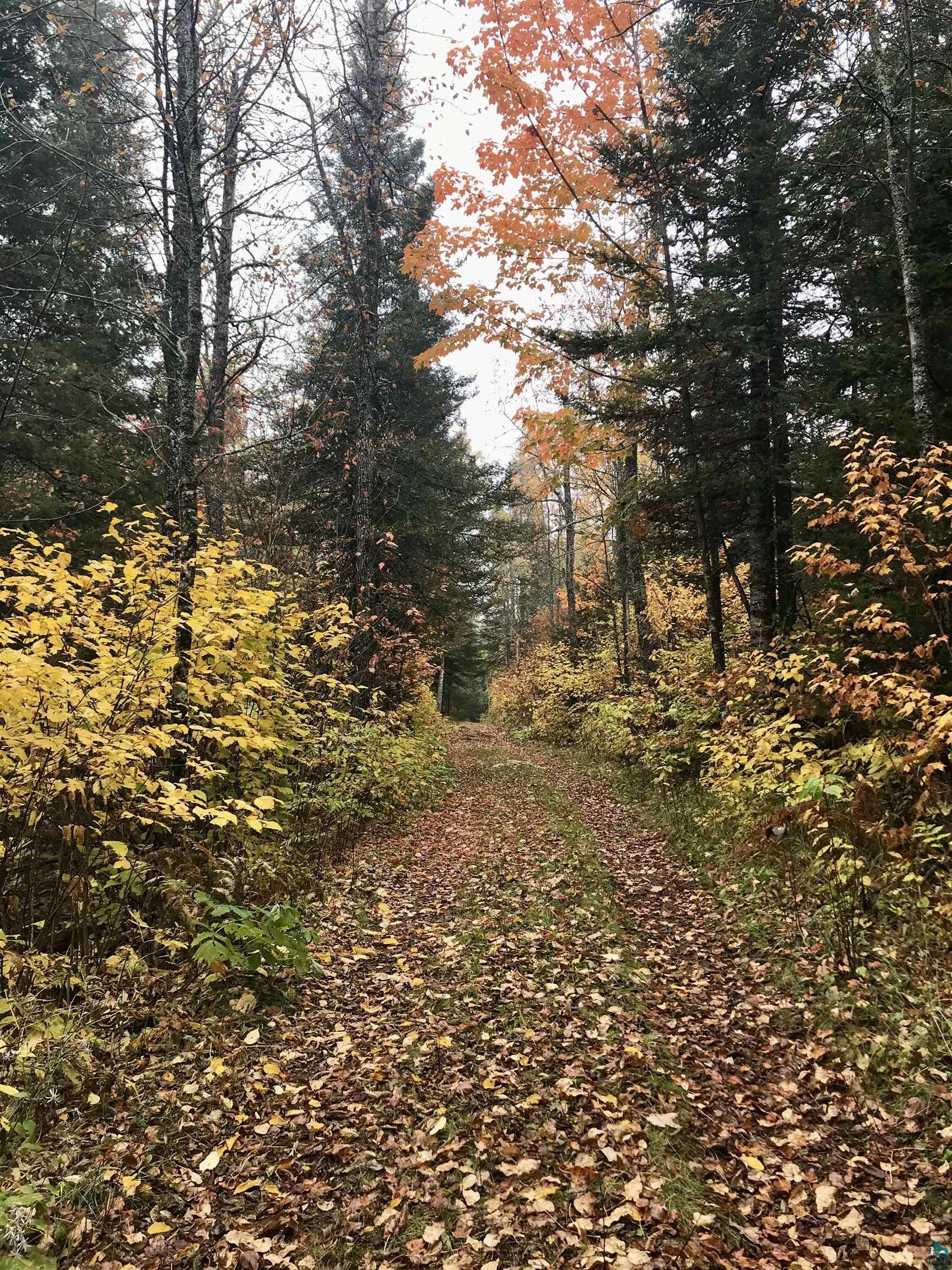 5274 Marble Lake Rd, Two Harbors, MN 55616 Listing Photo  80