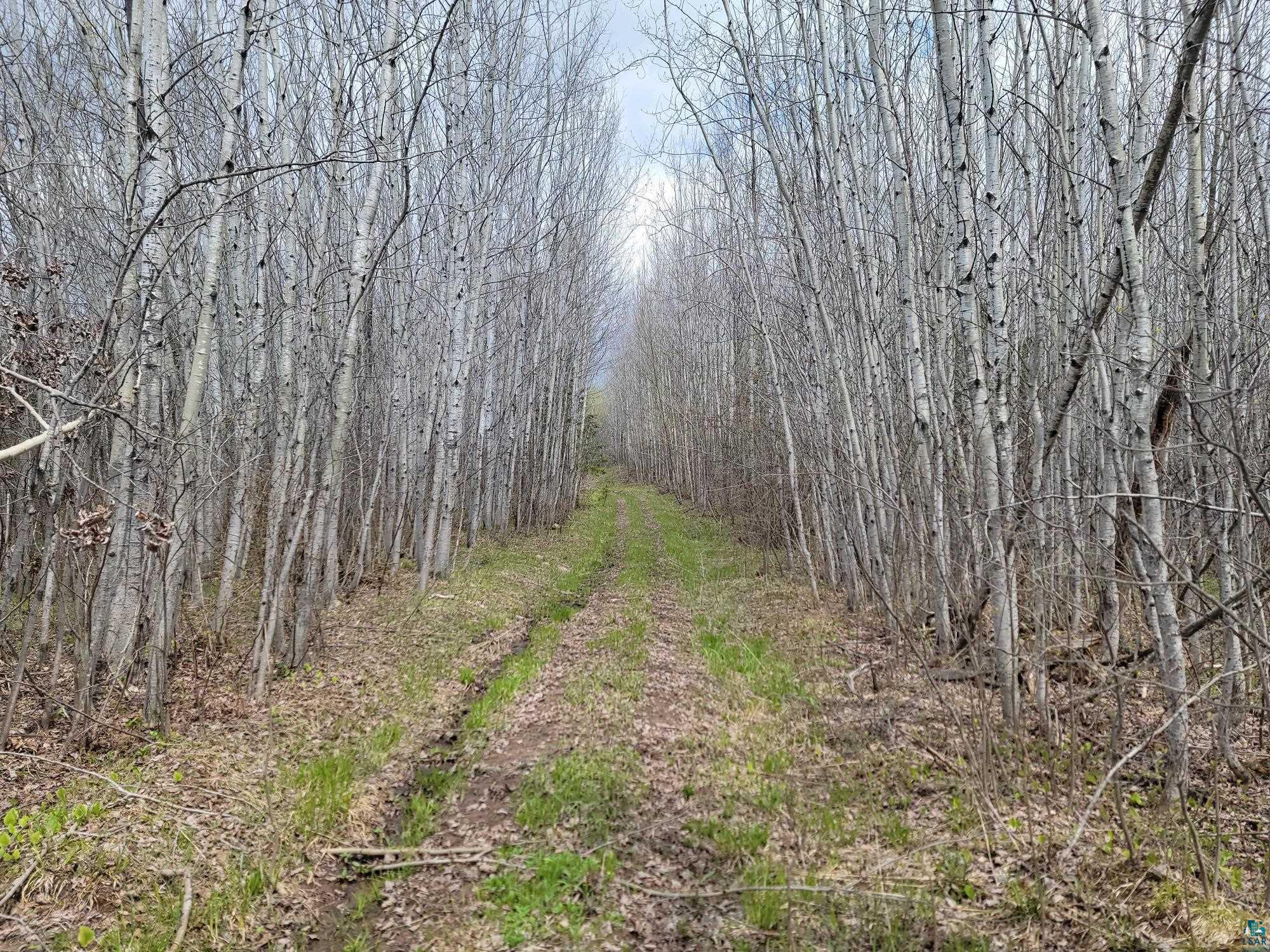 20X Sled Dog Trl, Hovland, MN 55606 Listing Photo  1