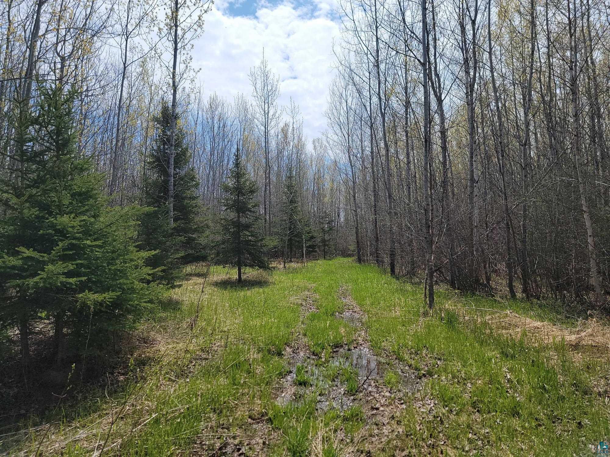 80X Sled Dog Trl, Hovland, MN 55606 Listing Photo  1