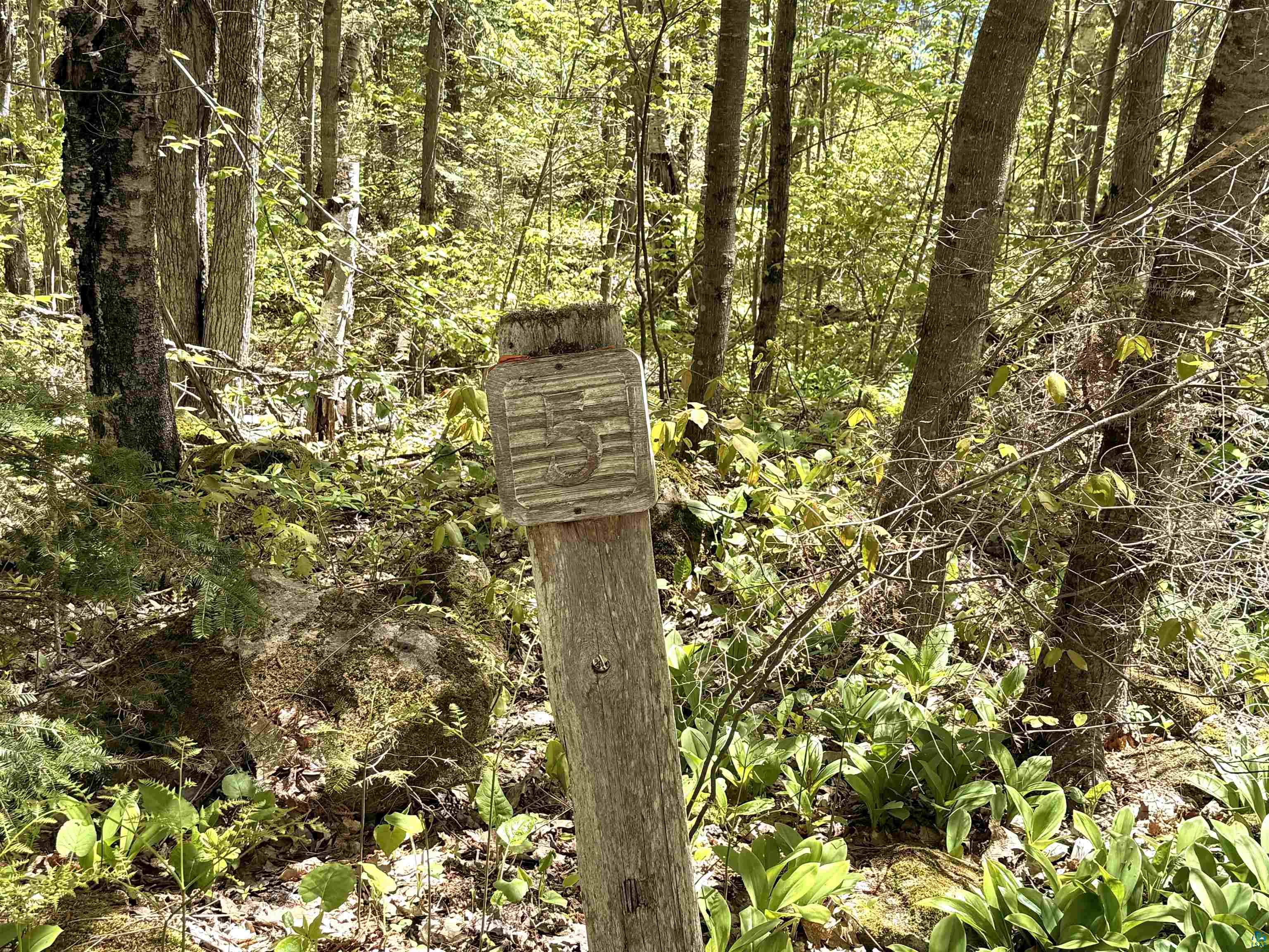 Lot 5 Blue Wing Bay Rd, Bayfield, WI 54814 Listing Photo  6