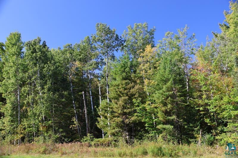 30XXX Brevak Rd, Washburn, WI 54891 Listing Photo  7