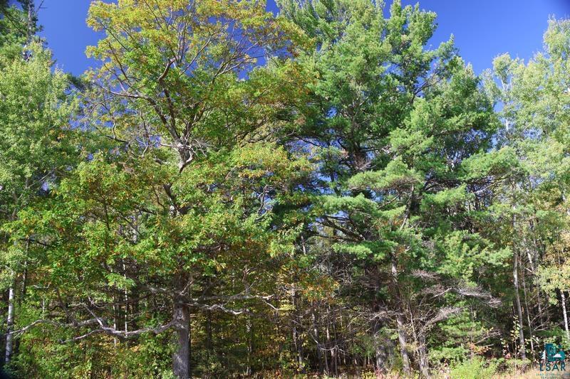 30XXX Brevak Rd, Washburn, WI 54891 Listing Photo  8