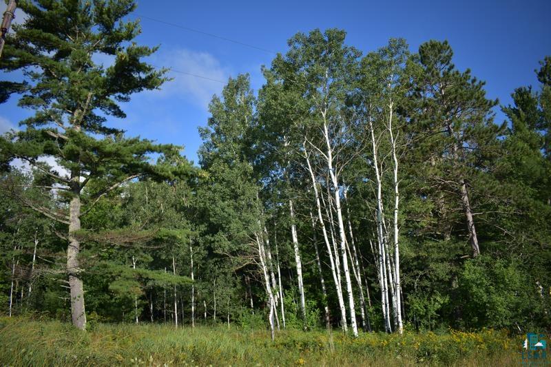 30XXX Brevak Rd, Washburn, WI 54891 Listing Photo  9