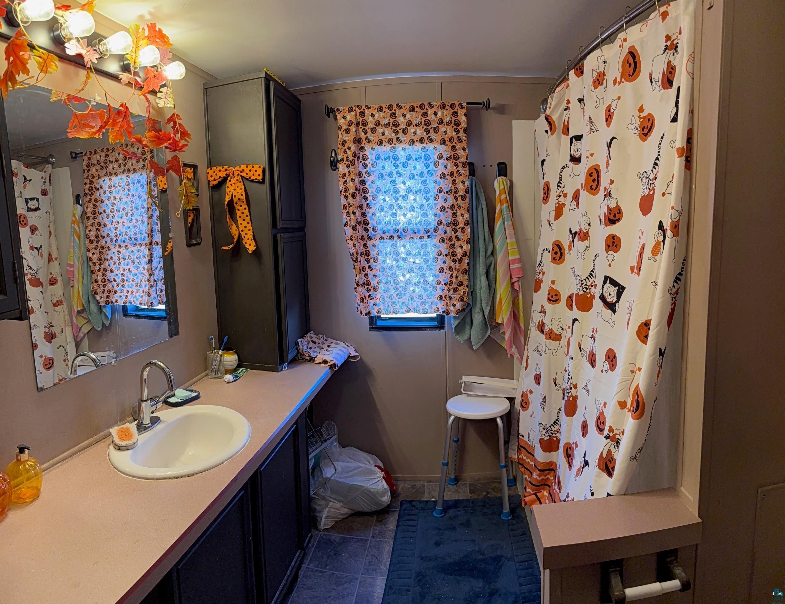 19 Magnolia Dr, Duluth, MN 55810 Listing Photo  11