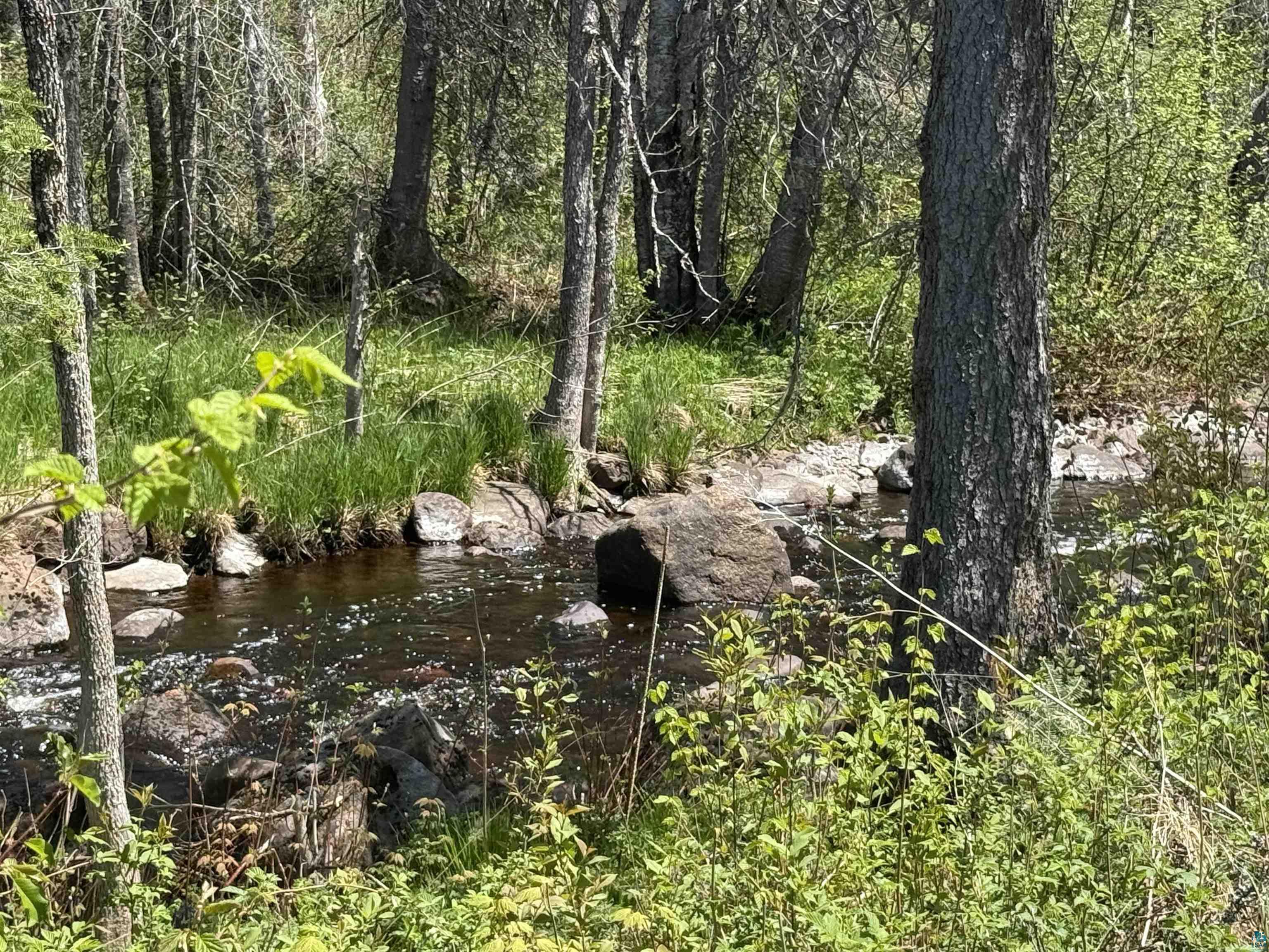 TBD Crown Creek Spur Rd, Finland, MN 55603 Listing Photo  1