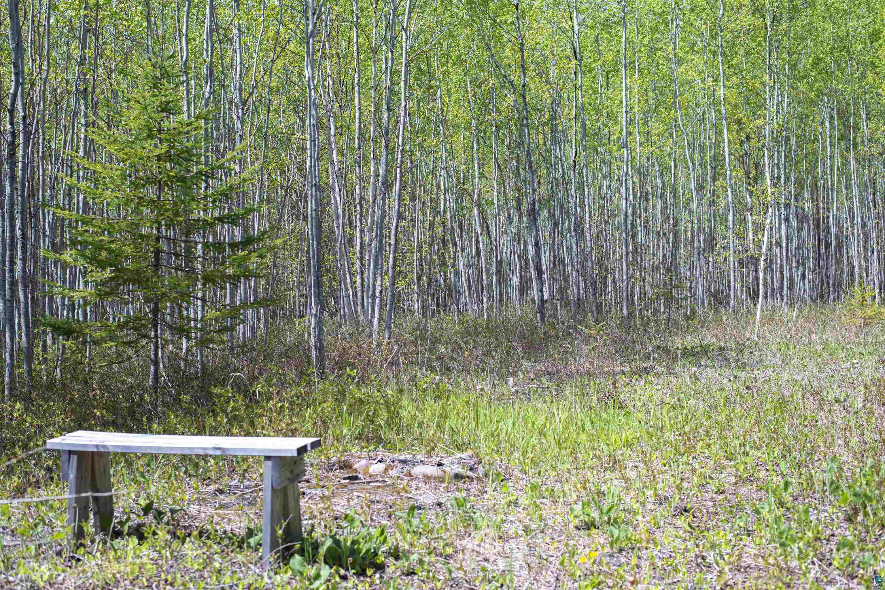 13 Coyote Ridge, Grand Marais, MN 55604 Listing Photo  22
