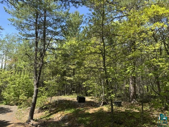 5039 Big Lake Rd, Ely, MN 55731 Listing Photo  11