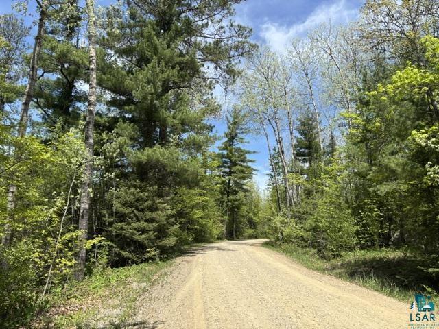5039 Big Lake Rd, Ely, MN 55731 Listing Photo  13