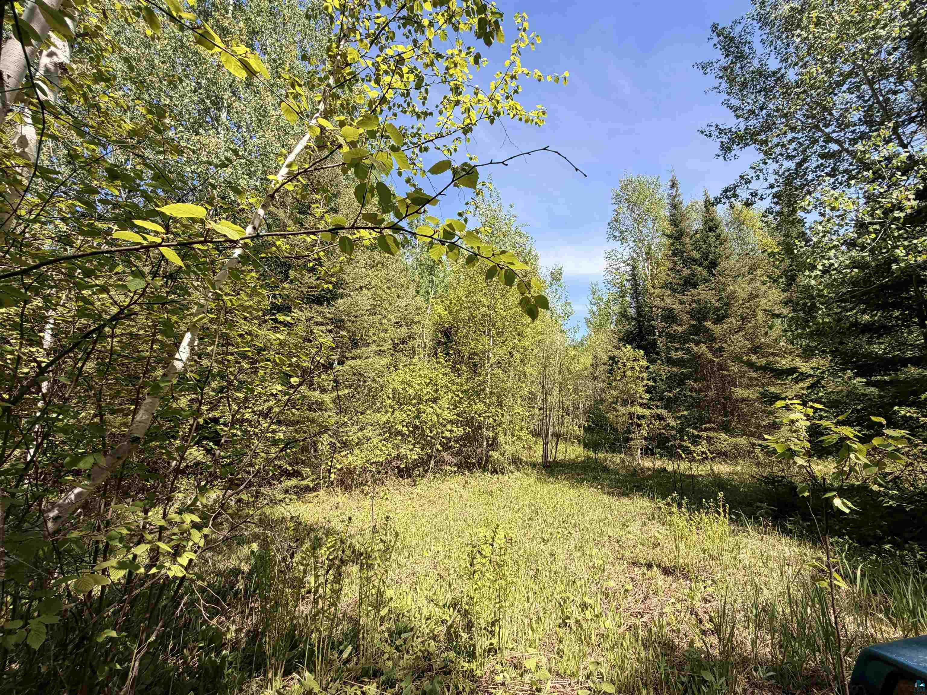 9685 Gunflint Tr, Grand Marais, MN 55604 Listing Photo  2