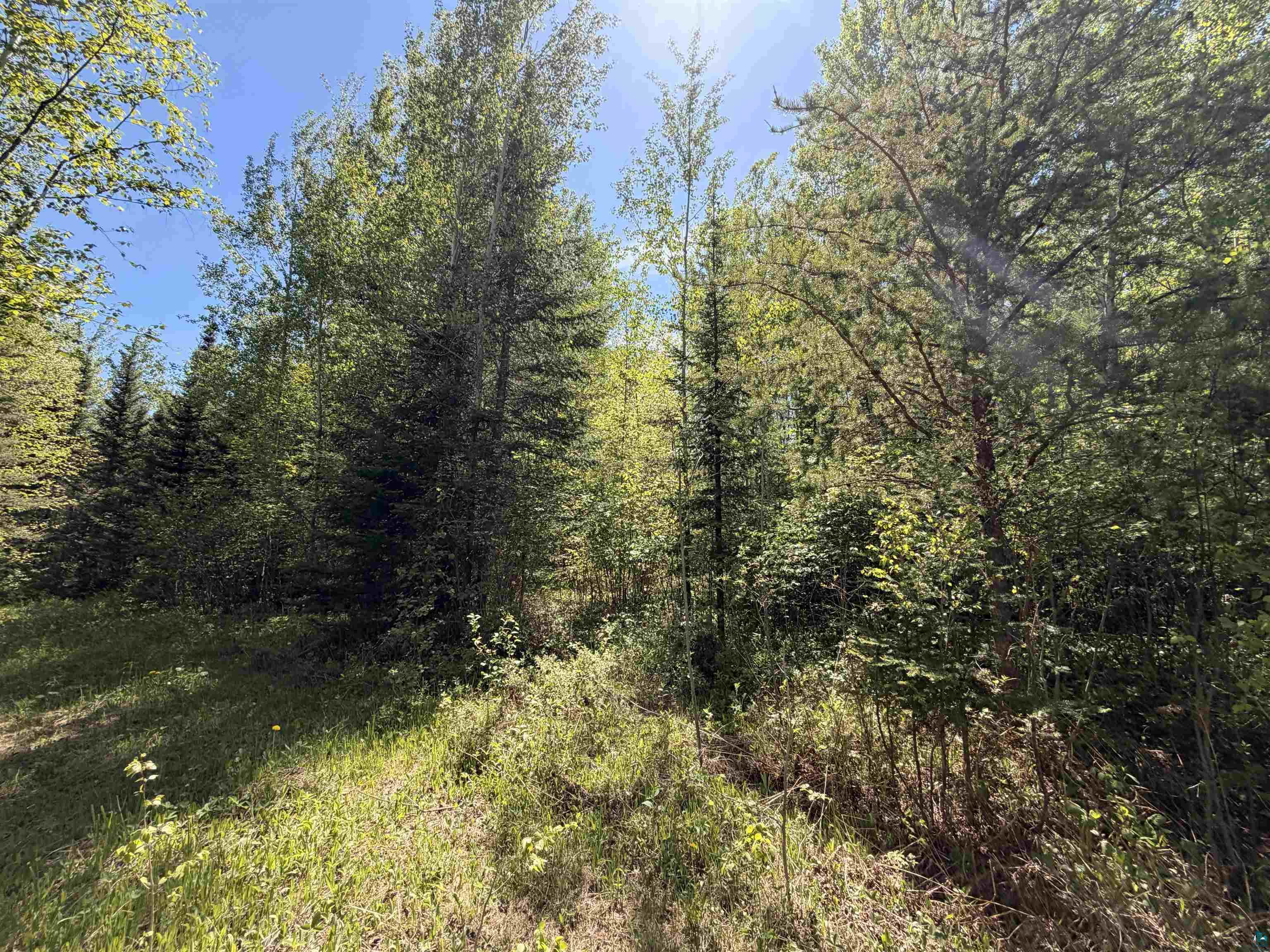9685 Gunflint Tr, Grand Marais, MN 55604 Listing Photo  11
