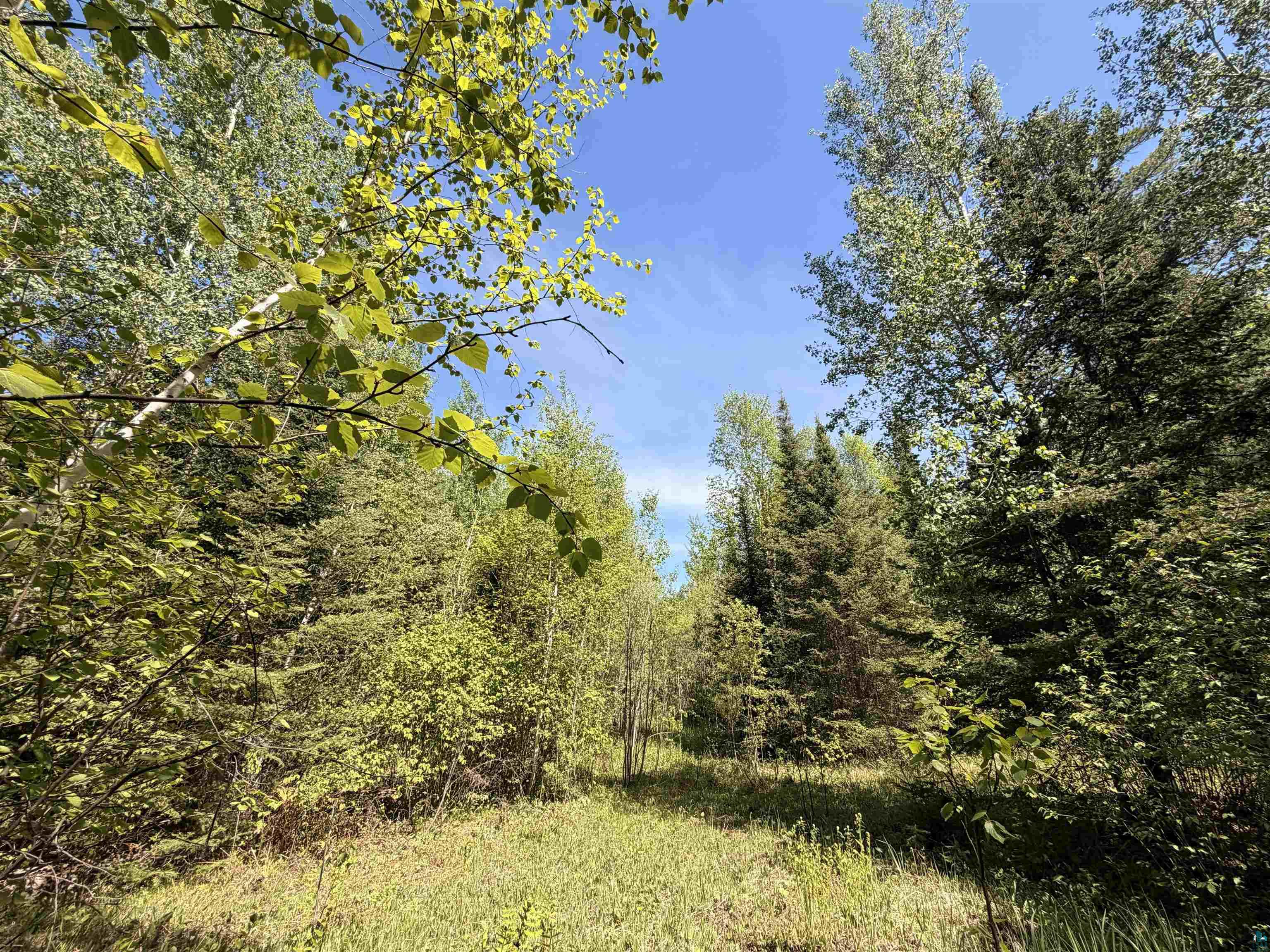 9685 Gunflint Tr, Grand Marais, MN 55604 Listing Photo  12