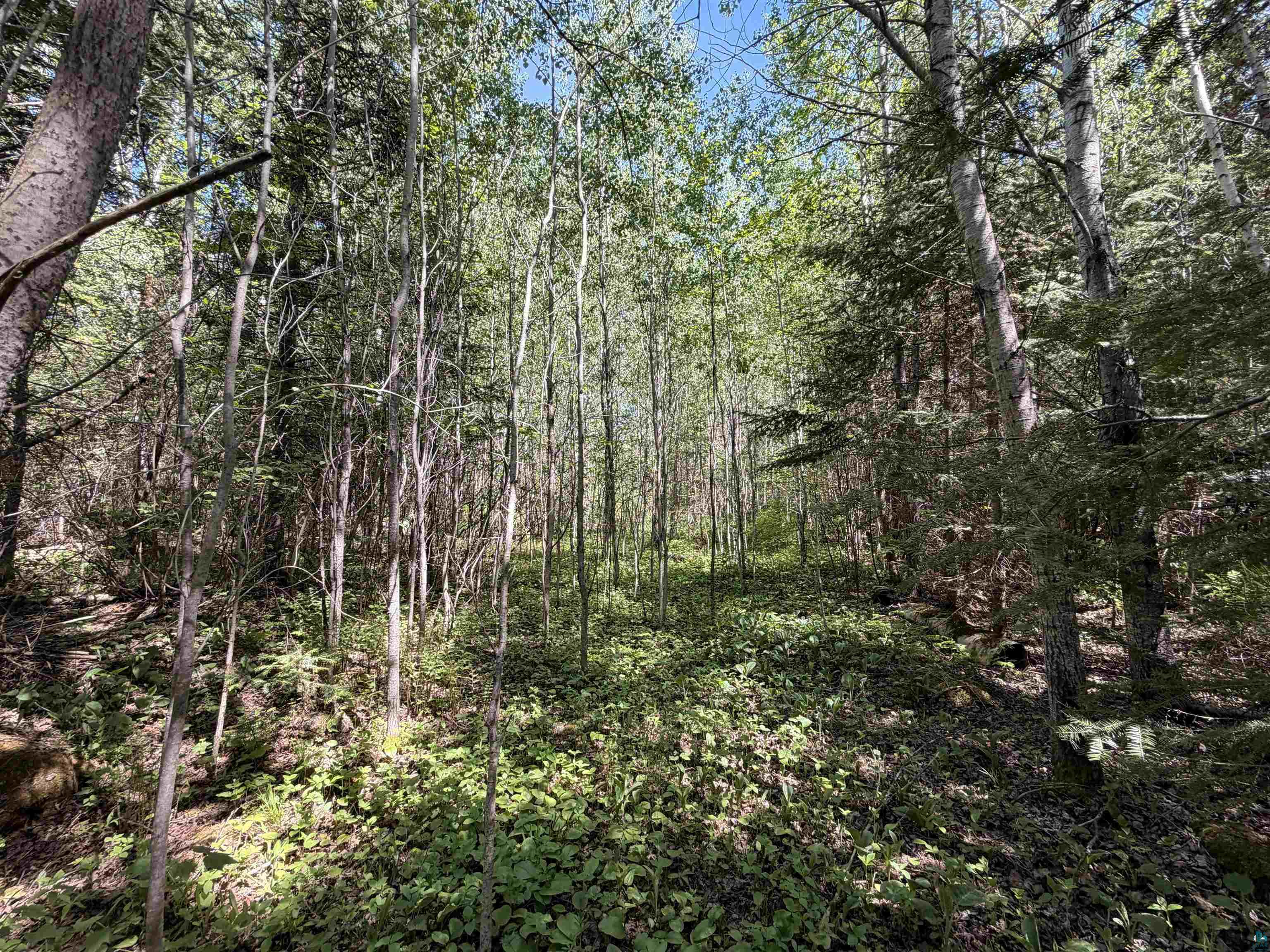 9685 Gunflint Tr, Grand Marais, MN 55604 Listing Photo  15
