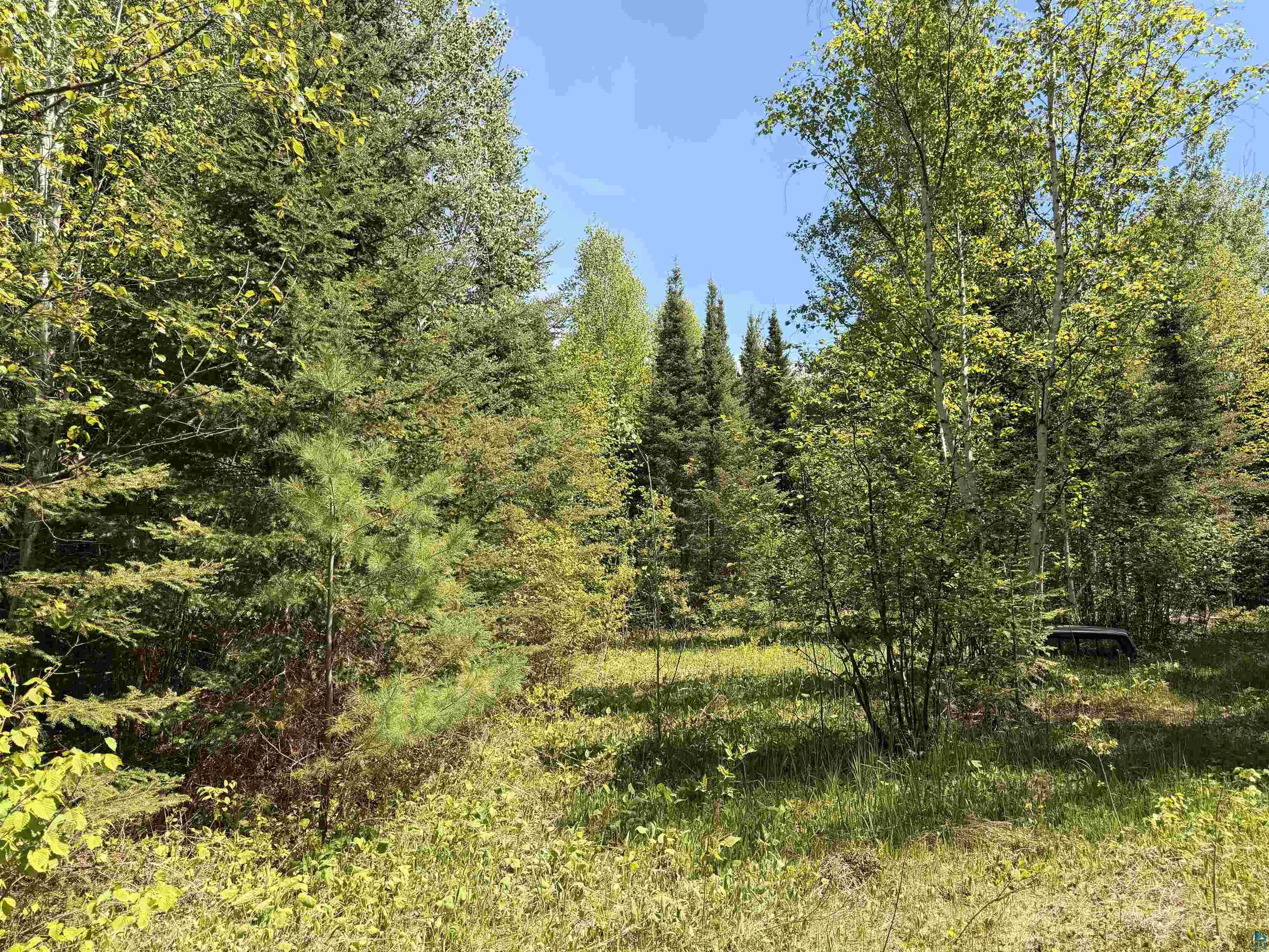 9685 Gunflint Tr, Grand Marais, MN 55604 Listing Photo  19