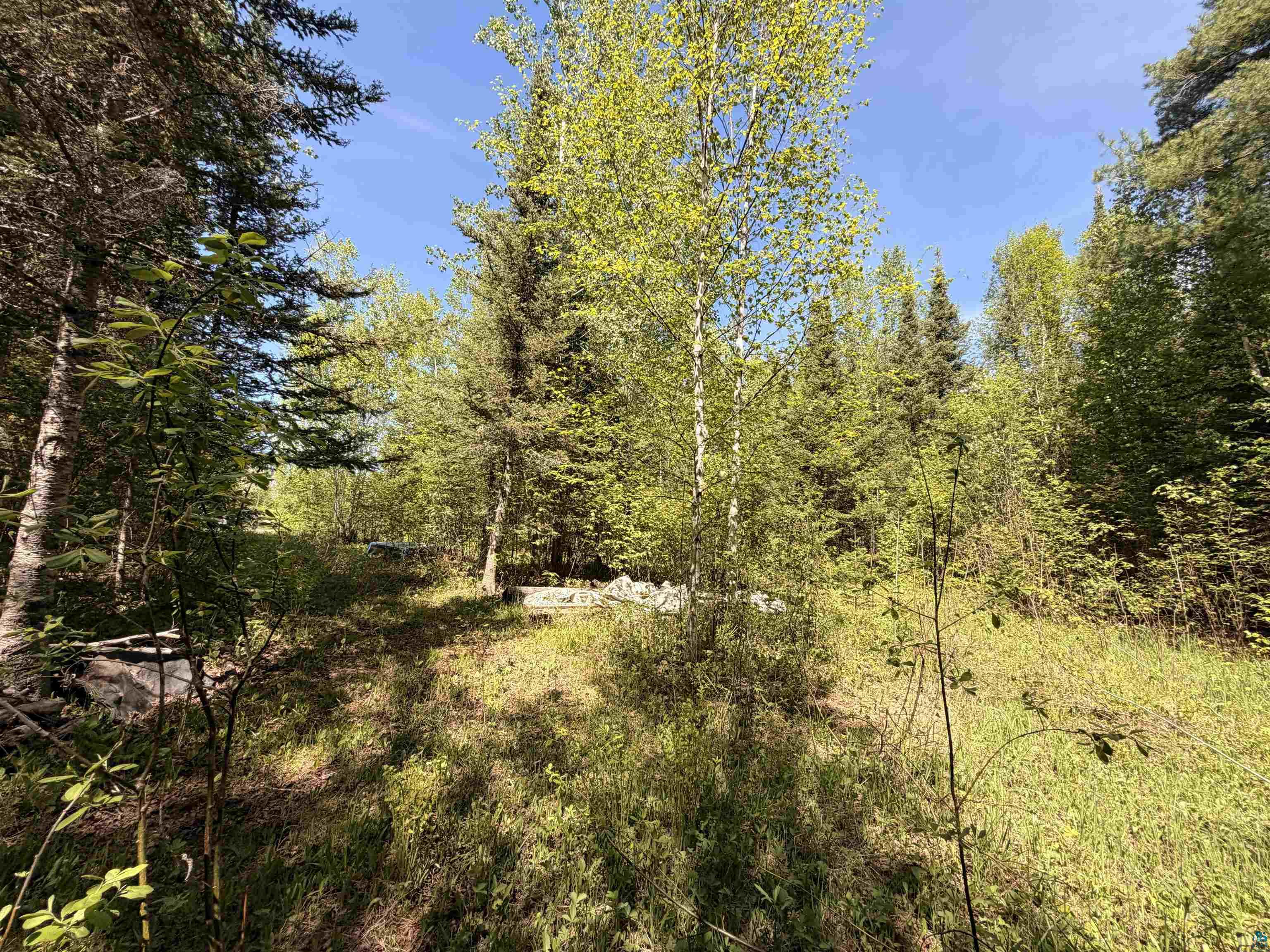 9685 Gunflint Tr, Grand Marais, MN 55604 Listing Photo  4