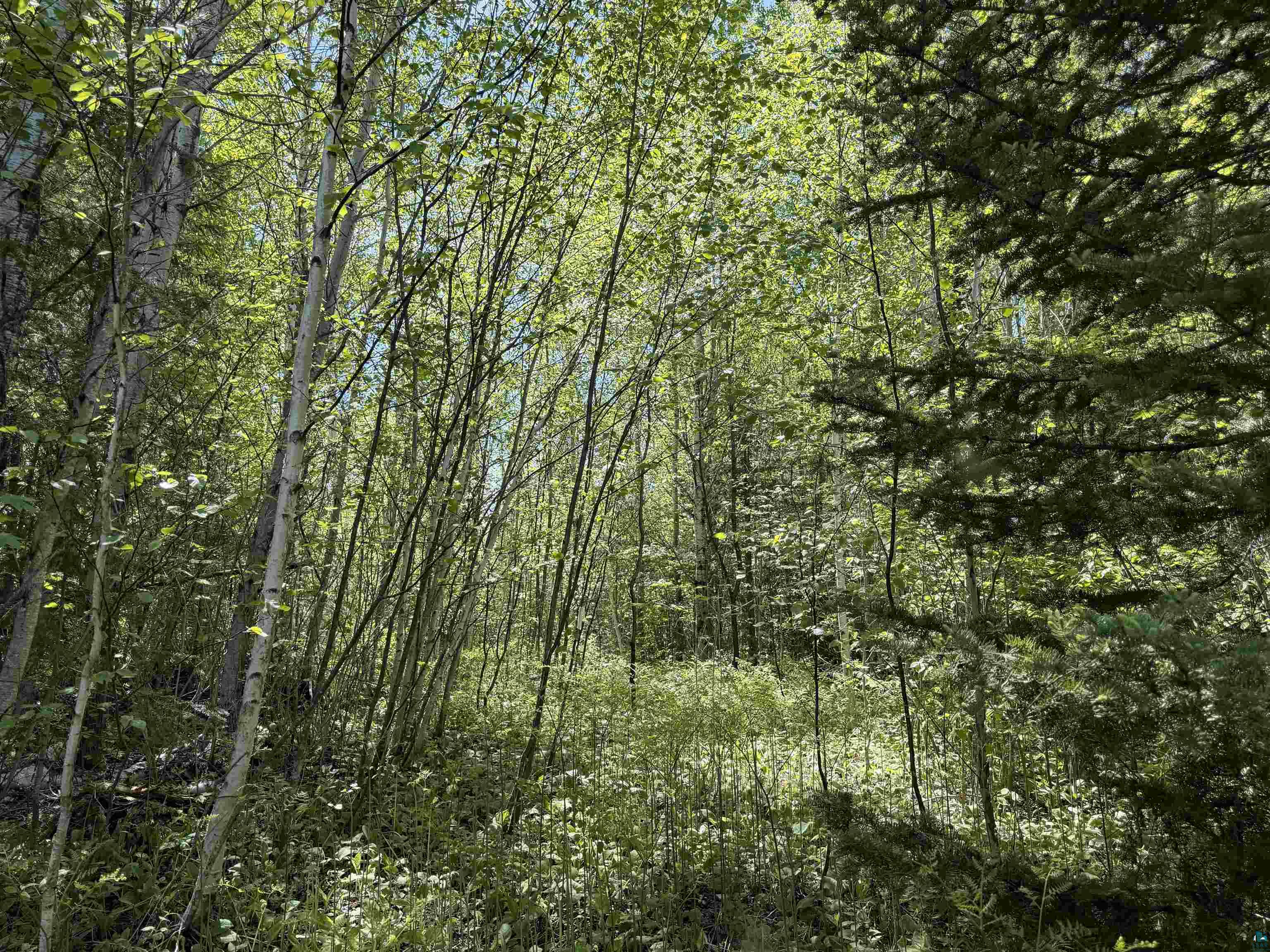 9685 Gunflint Tr, Grand Marais, MN 55604 Listing Photo  6