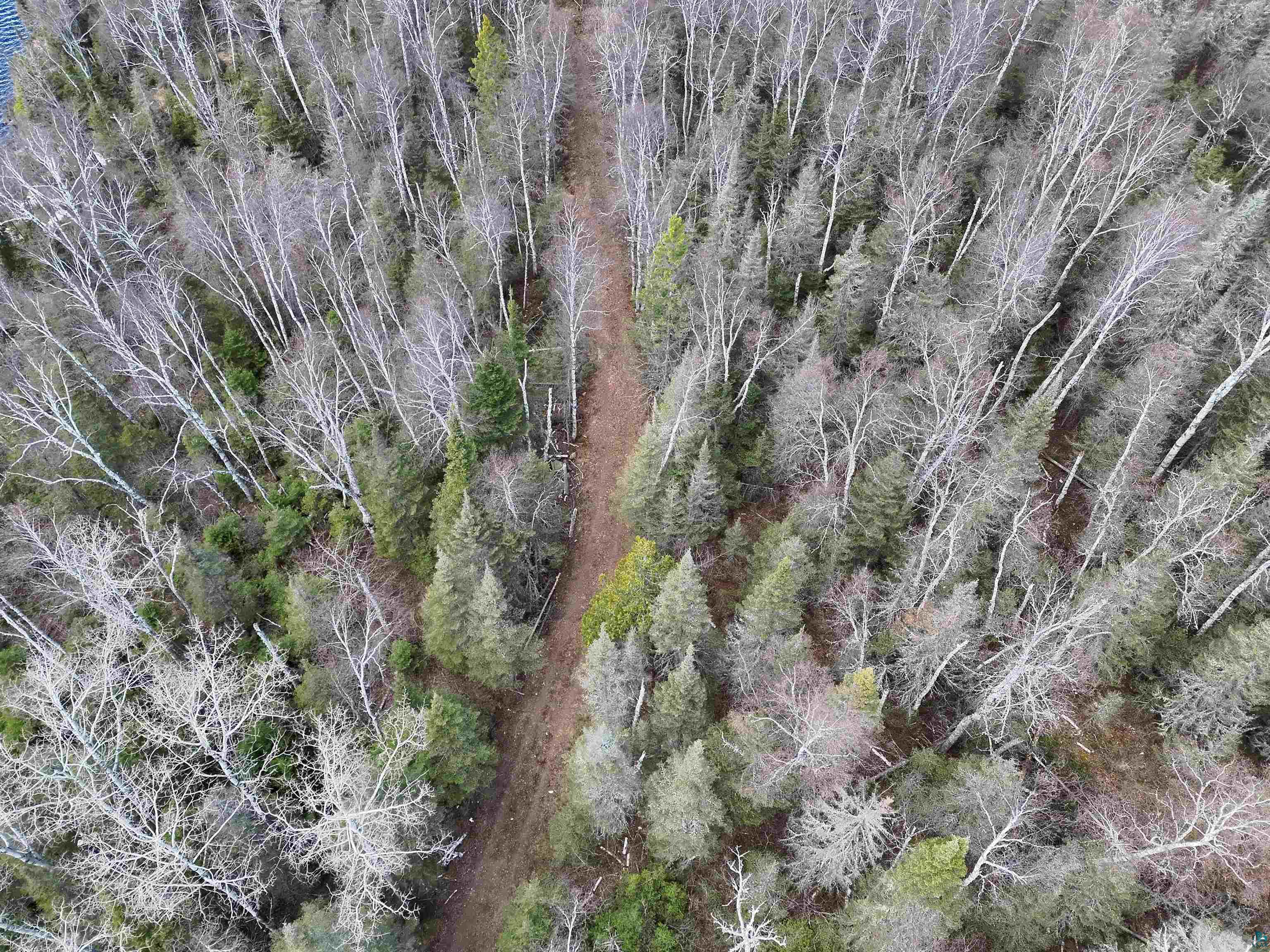 10097 Sister Lake Rd, Finland, MN 55616 Listing Photo  22